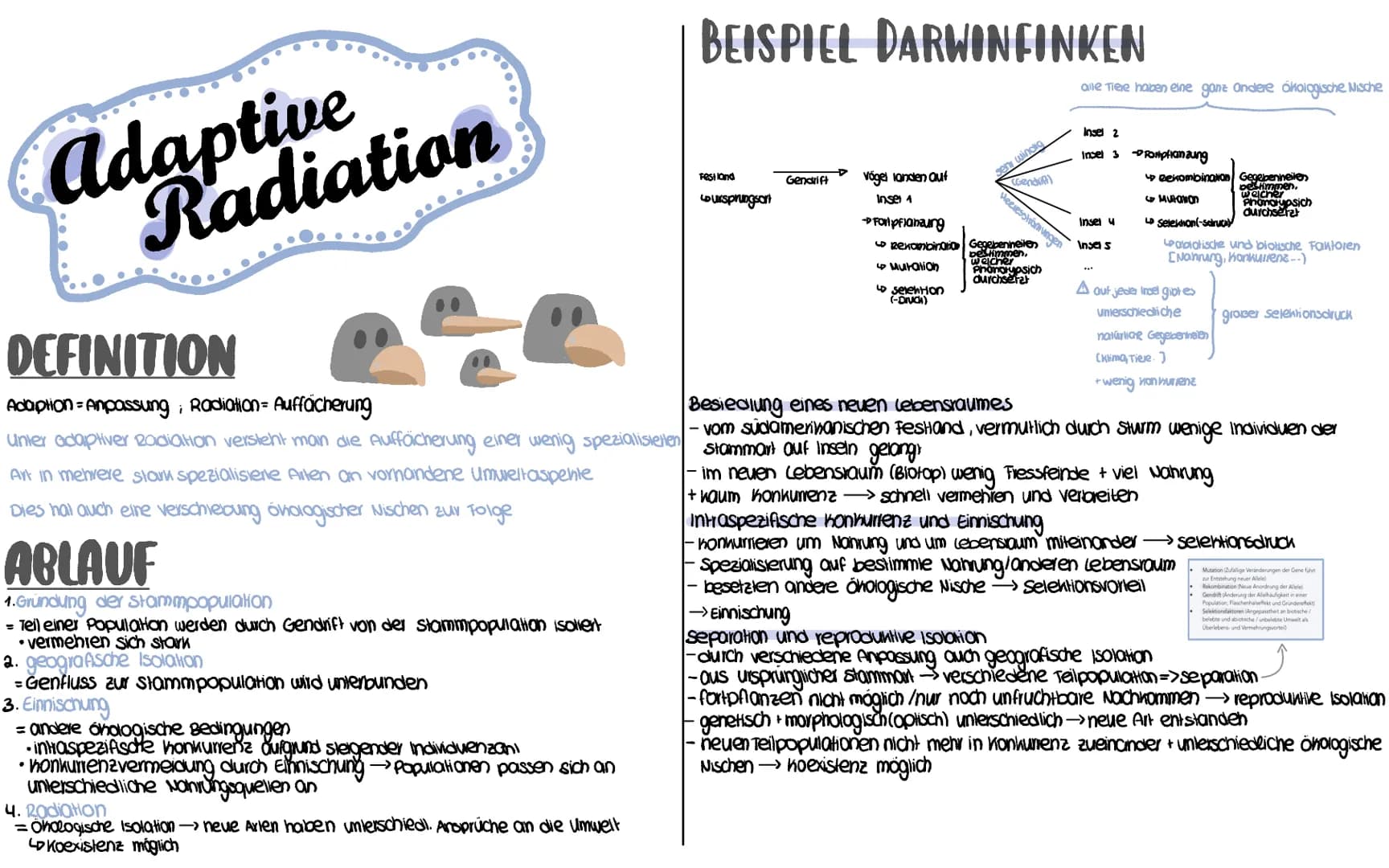 adaptive
Radiation
DEFINITION
Adaption=Anpassung, Radiation= Auffächerung
Unter adaptiver Radiation versteht man die Auffächerung einer weni