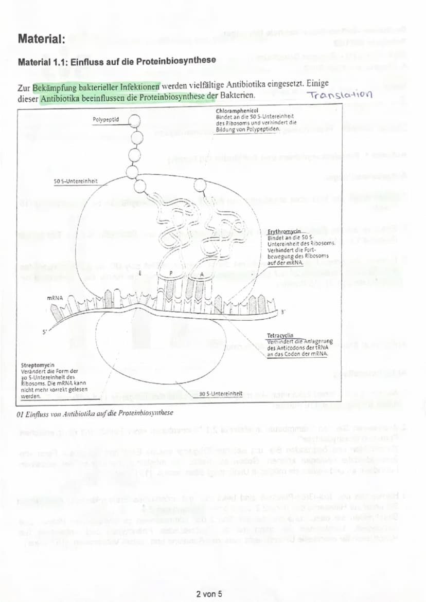 Hilfsmittel: Deutsches Wörterbuch
Bearbeitungszeit: 135 Minuten
hema: Genetik - Proteinbiosynthese & Stammbaumanalysen
Aufgabe 1: Proteinbio