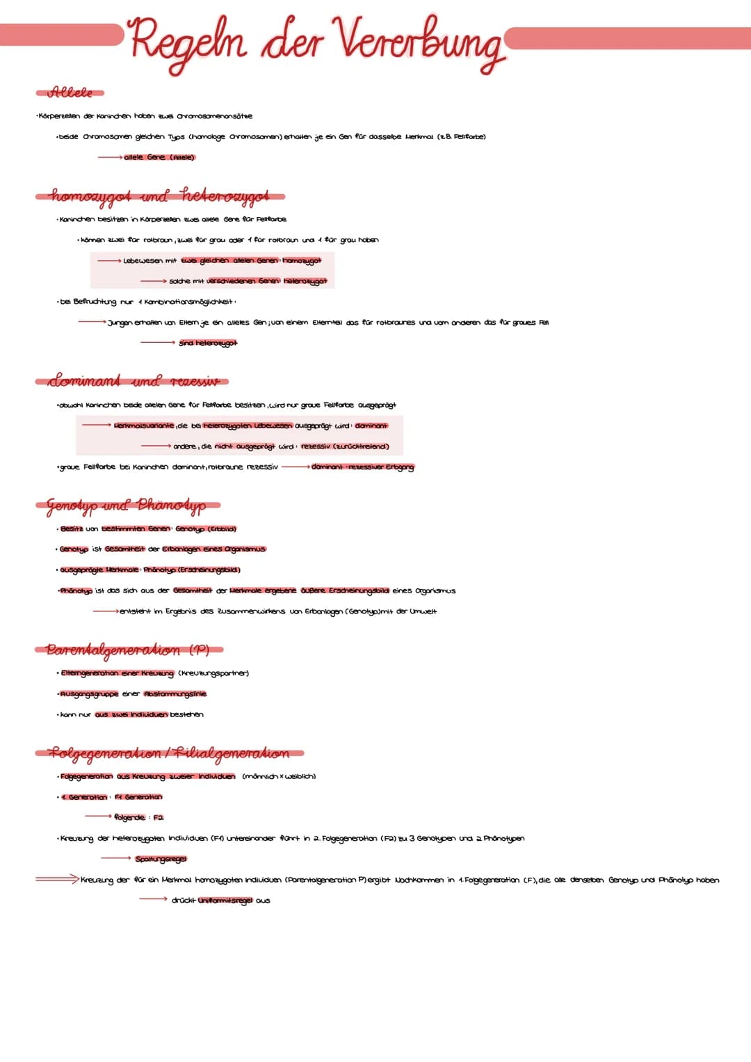 Allele
Regeln der Vererbung
*Körperzellen der Kaninchen haben zwei Chromosomenonsätze
beide Chromosomen gleichen Typs (homologe ohromasamen)