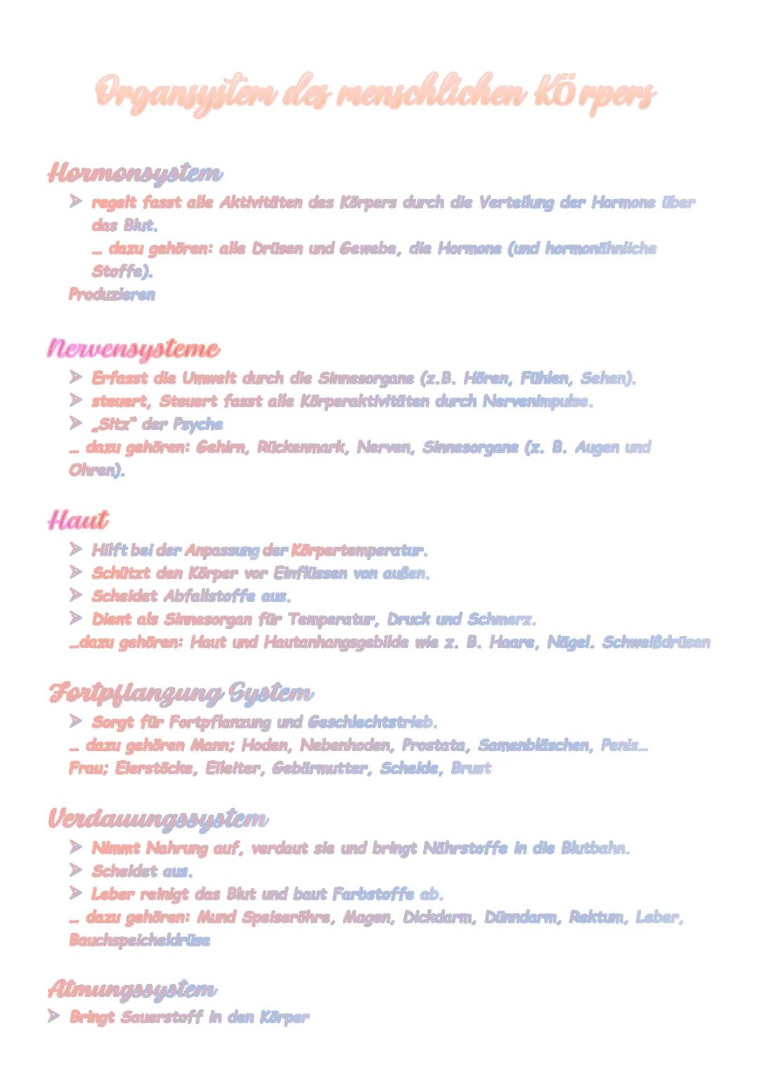Anatomie