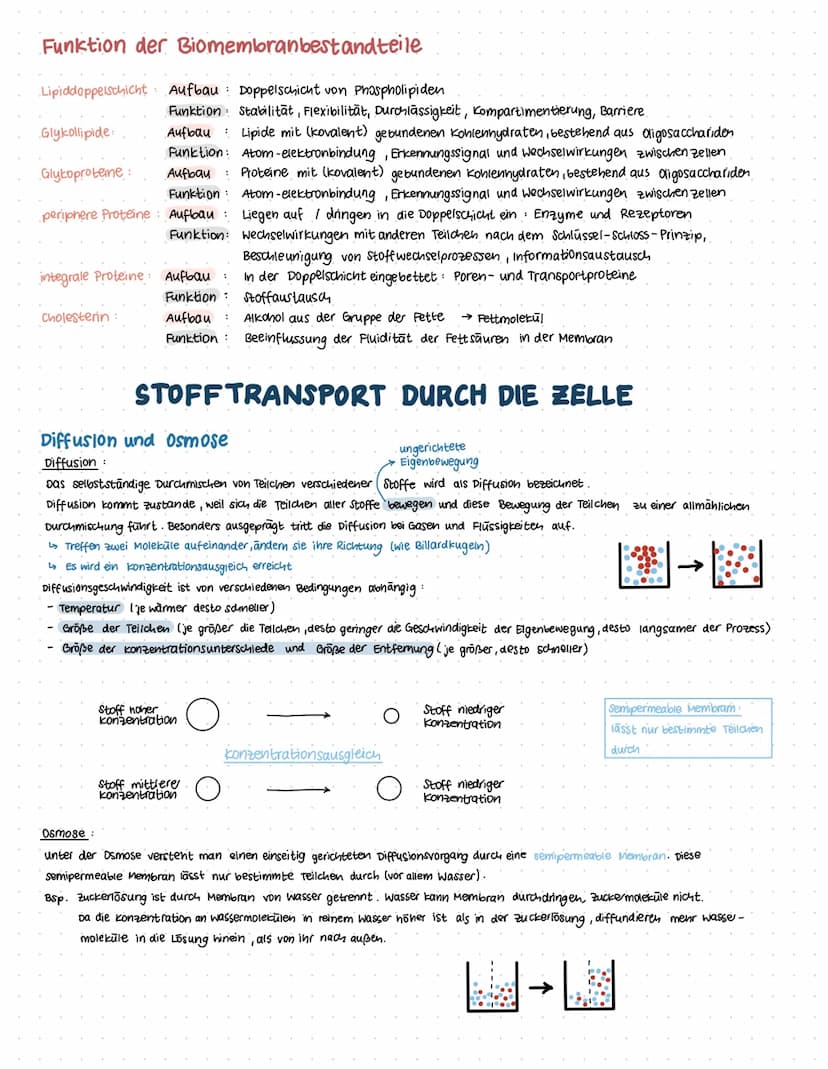 Die fünf Kennzeichen des Lebendigen
1) eigener Stoff- & Energiewechsel
3) Reizbarkeit
2) zur Fortpflanzung / Vermehrung fähig 4) wachstum
Ze