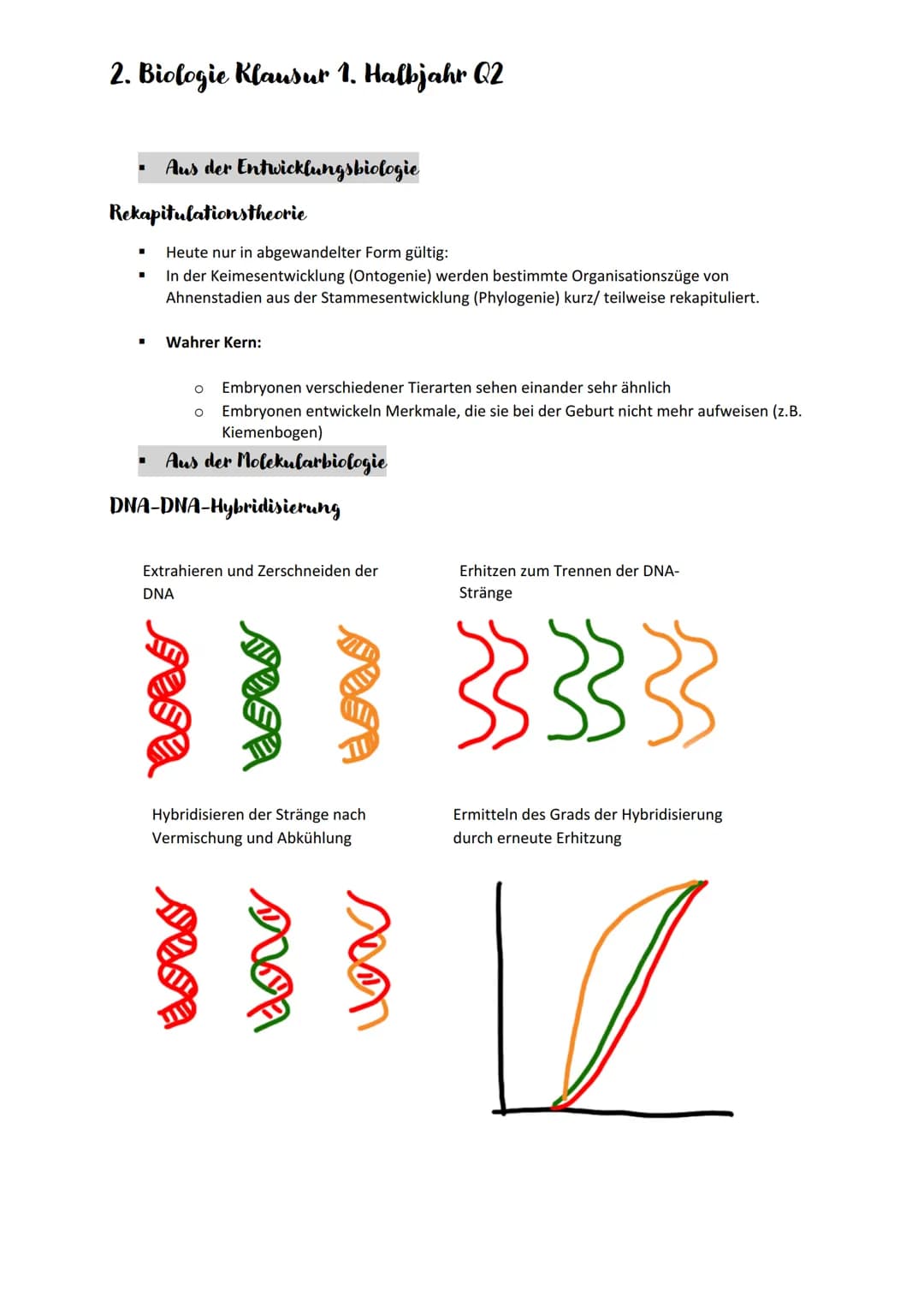 2. Biologie Klausur 1. Halbjahr Q2
Evolution
Belege der Evolution
➤ Aus der vergleichenden Anatomie/ Morphologie
Homologie
■
■
■
Analogie
▪
