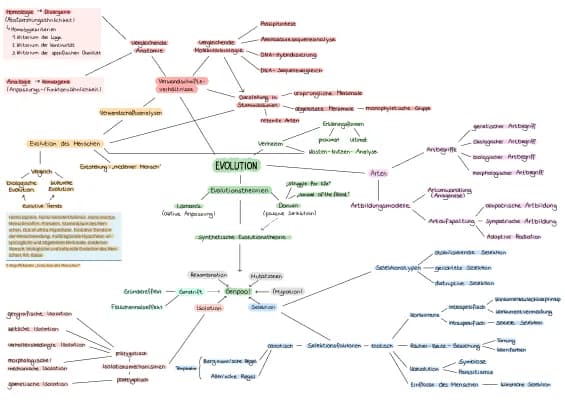 Know Evolution MindMap/ConceptMap thumbnail