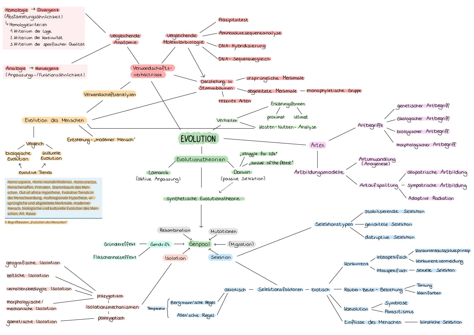 → Divergenz
(Abstammungsähnlichkeit)
Homologie
↳ Homologie kriterien
1. Kriterium der Lage
2. Kriterium der Kontinuität
3. Kriterium der spe