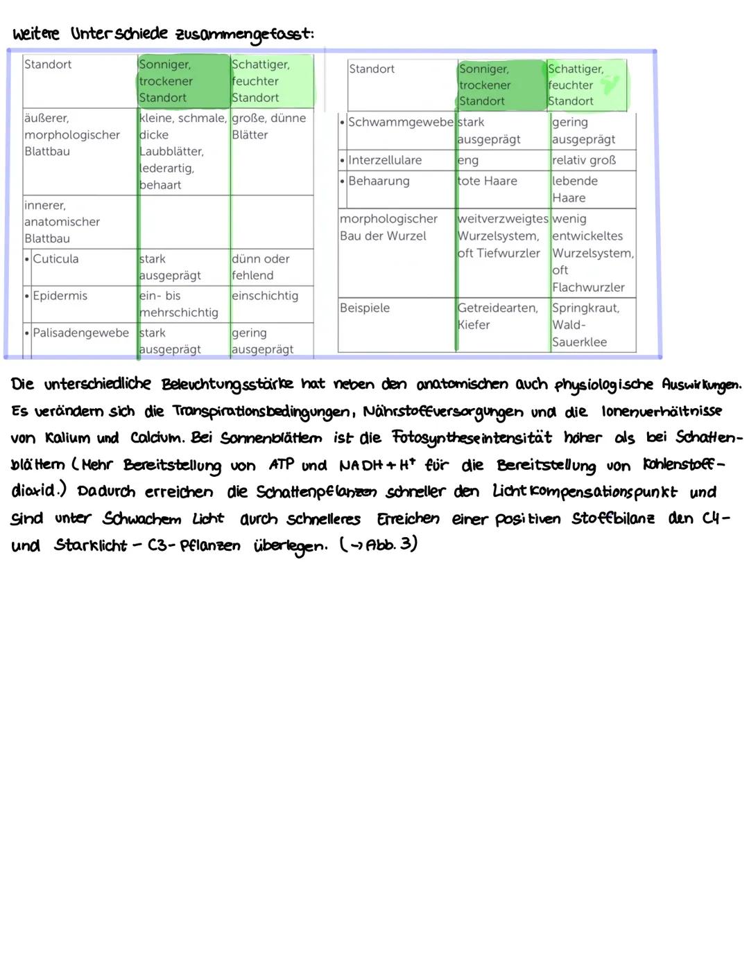 Zusammenfassung AB Fotosynthese bei Licht und Schatten
LICHT-& SCHATTENBLÄTTER
Die Fotosynthese ist von der Intensität und Qualität des Lich
