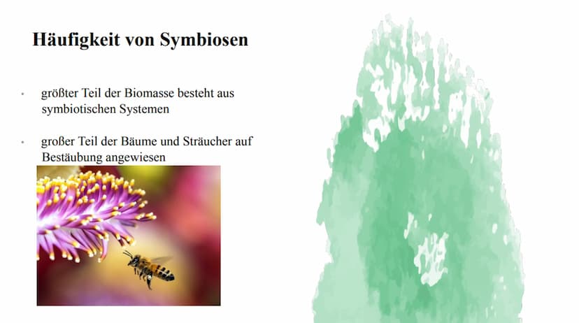 Symbiose Definition:
Die Symbiose ist eine Wechselbeziehung
zwischen artverschiedenen Organismen
voneinander sind.
die
Beide Partner ziehen 