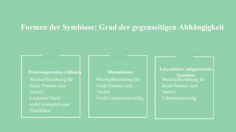 Symbiose Definition:
Die Symbiose ist eine Wechselbeziehung
zwischen artverschiedenen Organismen
voneinander sind.
die
Beide Partner ziehen 