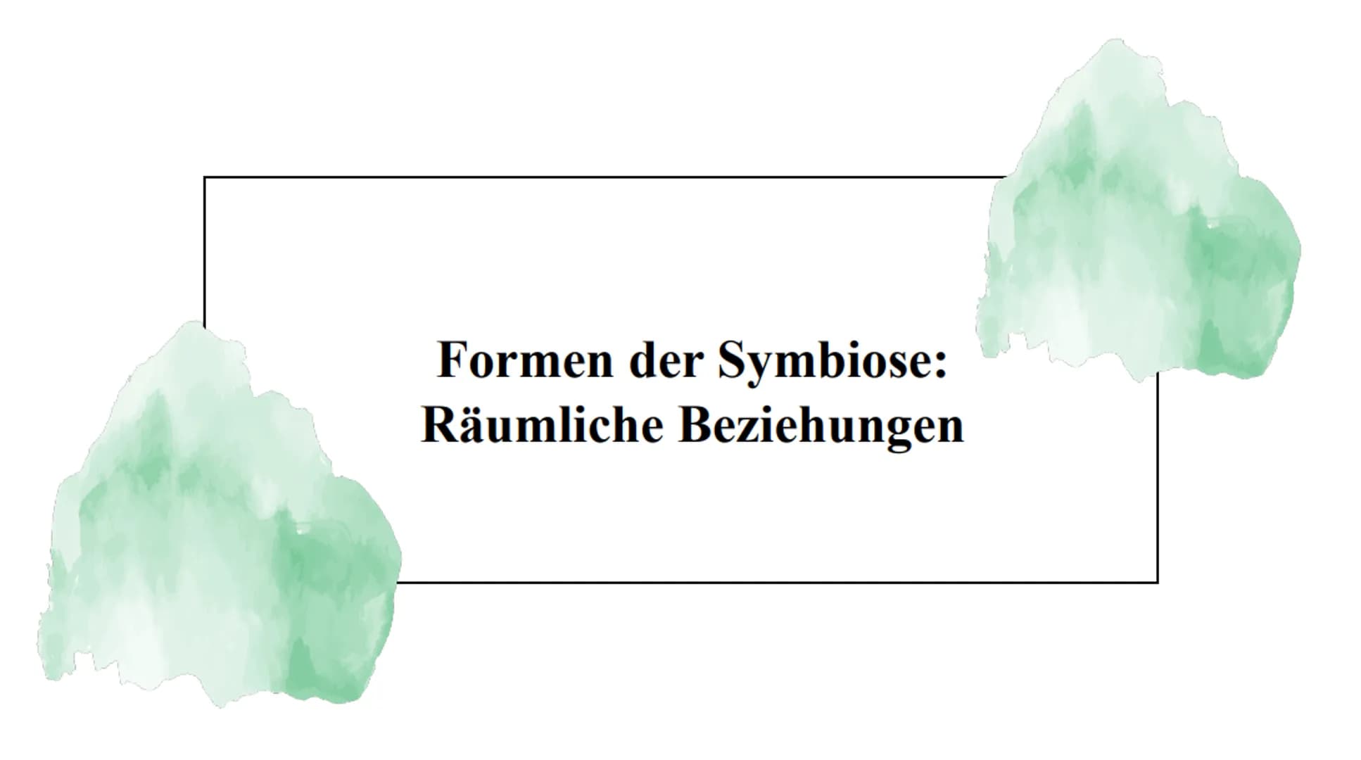 Symbiose Definition:
Die Symbiose ist eine Wechselbeziehung
zwischen artverschiedenen Organismen
voneinander sind.
die
Beide Partner ziehen 