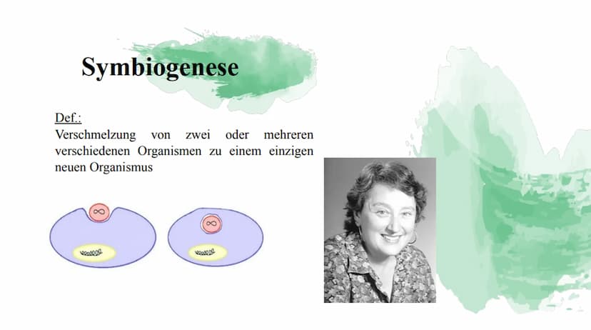 Symbiose Definition:
Die Symbiose ist eine Wechselbeziehung
zwischen artverschiedenen Organismen
voneinander sind.
die
Beide Partner ziehen 