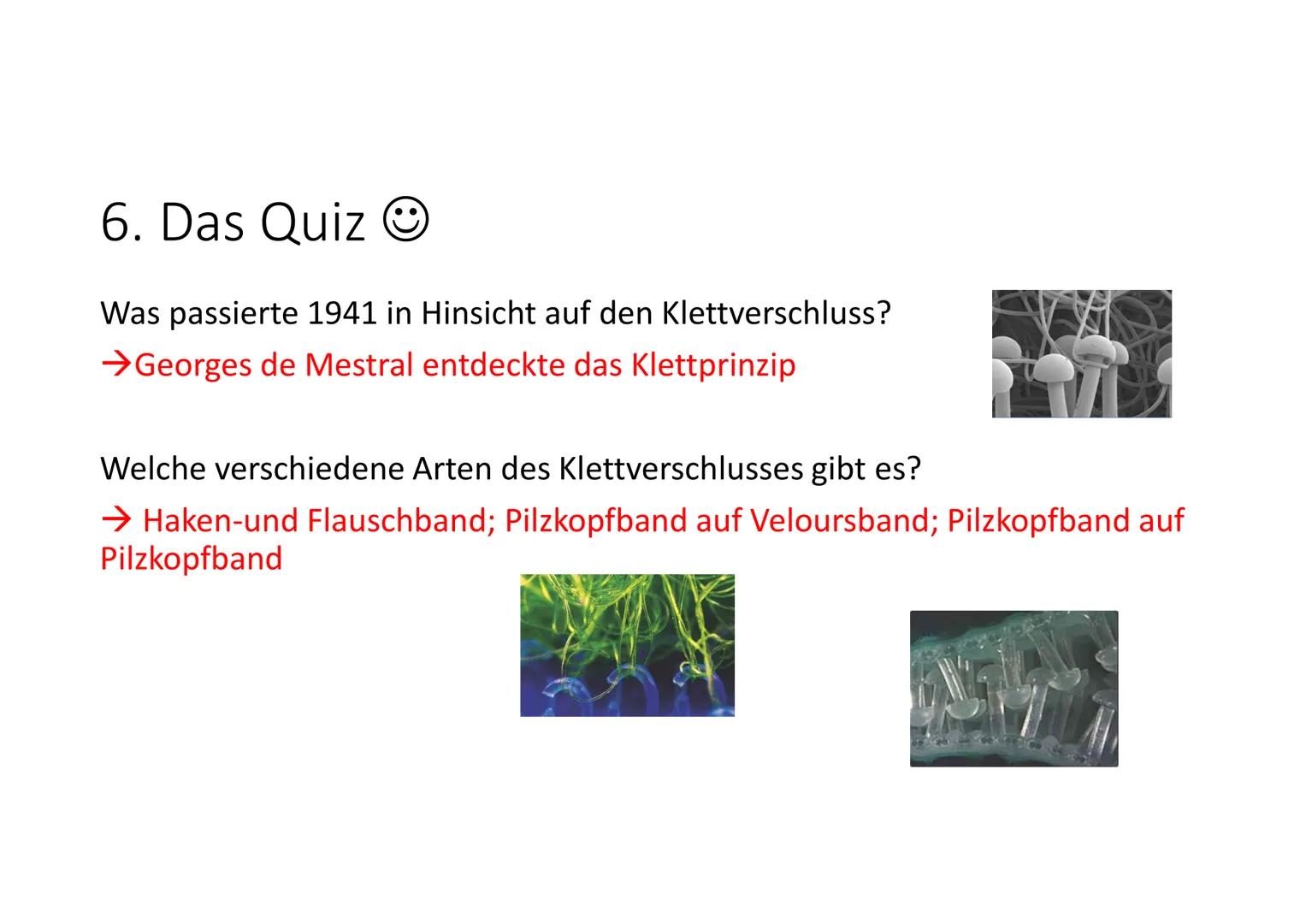  NWT
1. Die Klettpflanze in der Biologie
Wachsen in Waldsteppen/Wäldern, an Wegrändern, Flüssen
2. Das Klettprinzip in der Biologie
●
3. Das