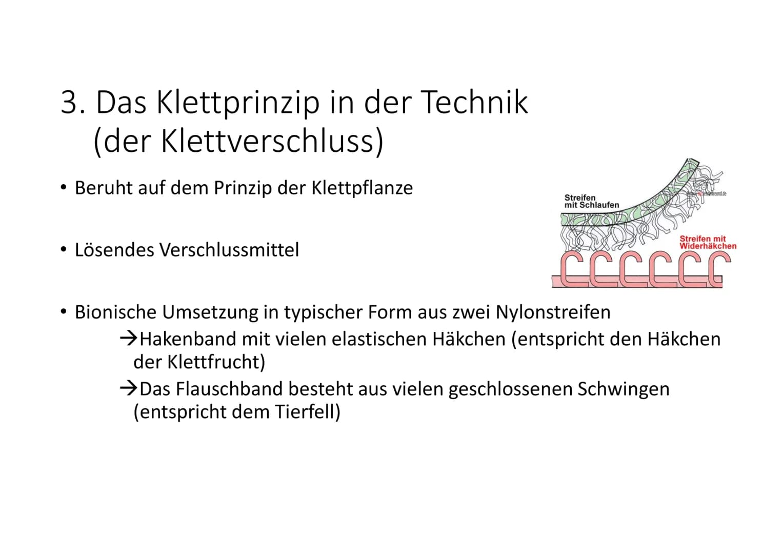  NWT
1. Die Klettpflanze in der Biologie
Wachsen in Waldsteppen/Wäldern, an Wegrändern, Flüssen
2. Das Klettprinzip in der Biologie
●
3. Das