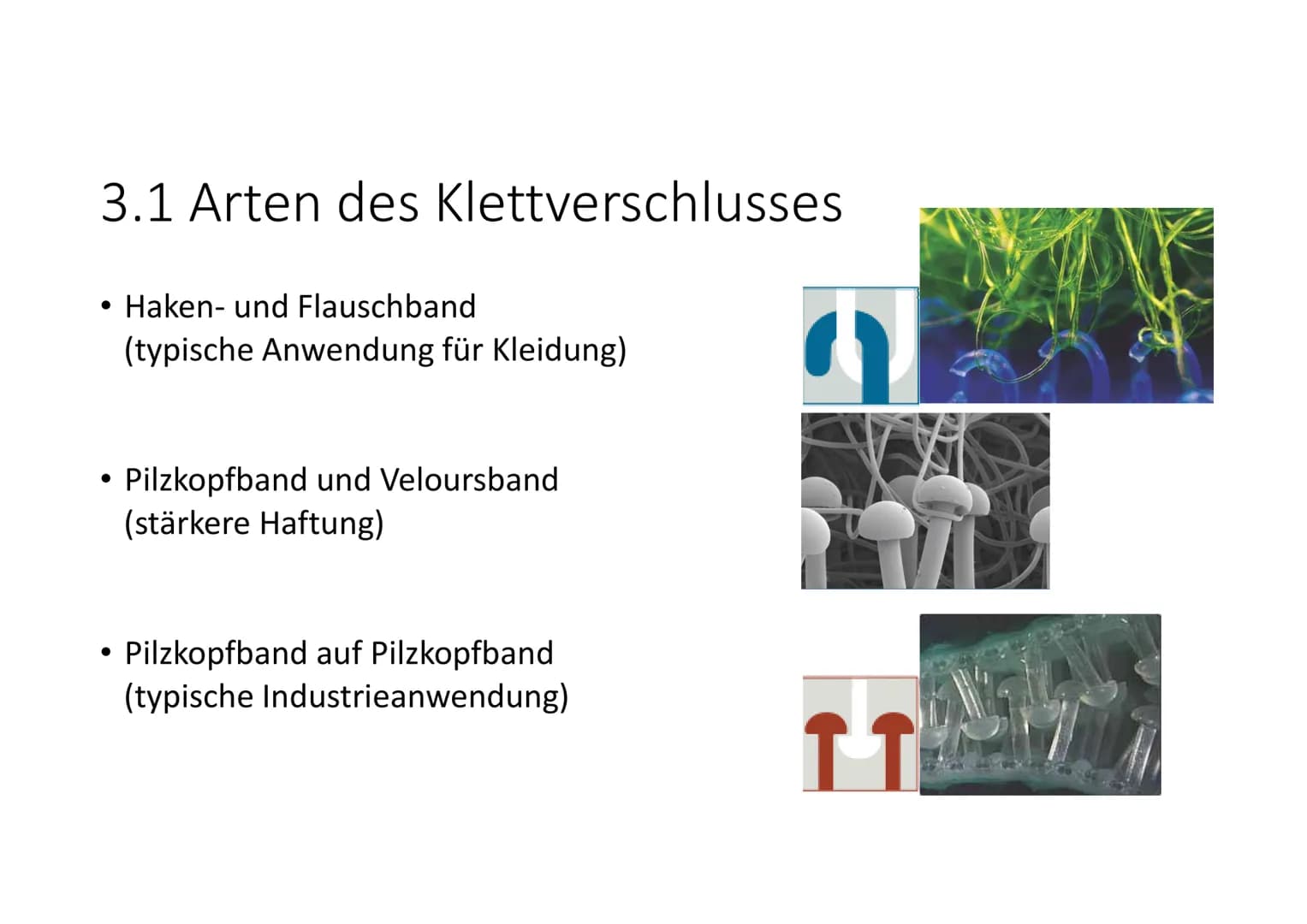  NWT
1. Die Klettpflanze in der Biologie
Wachsen in Waldsteppen/Wäldern, an Wegrändern, Flüssen
2. Das Klettprinzip in der Biologie
●
3. Das