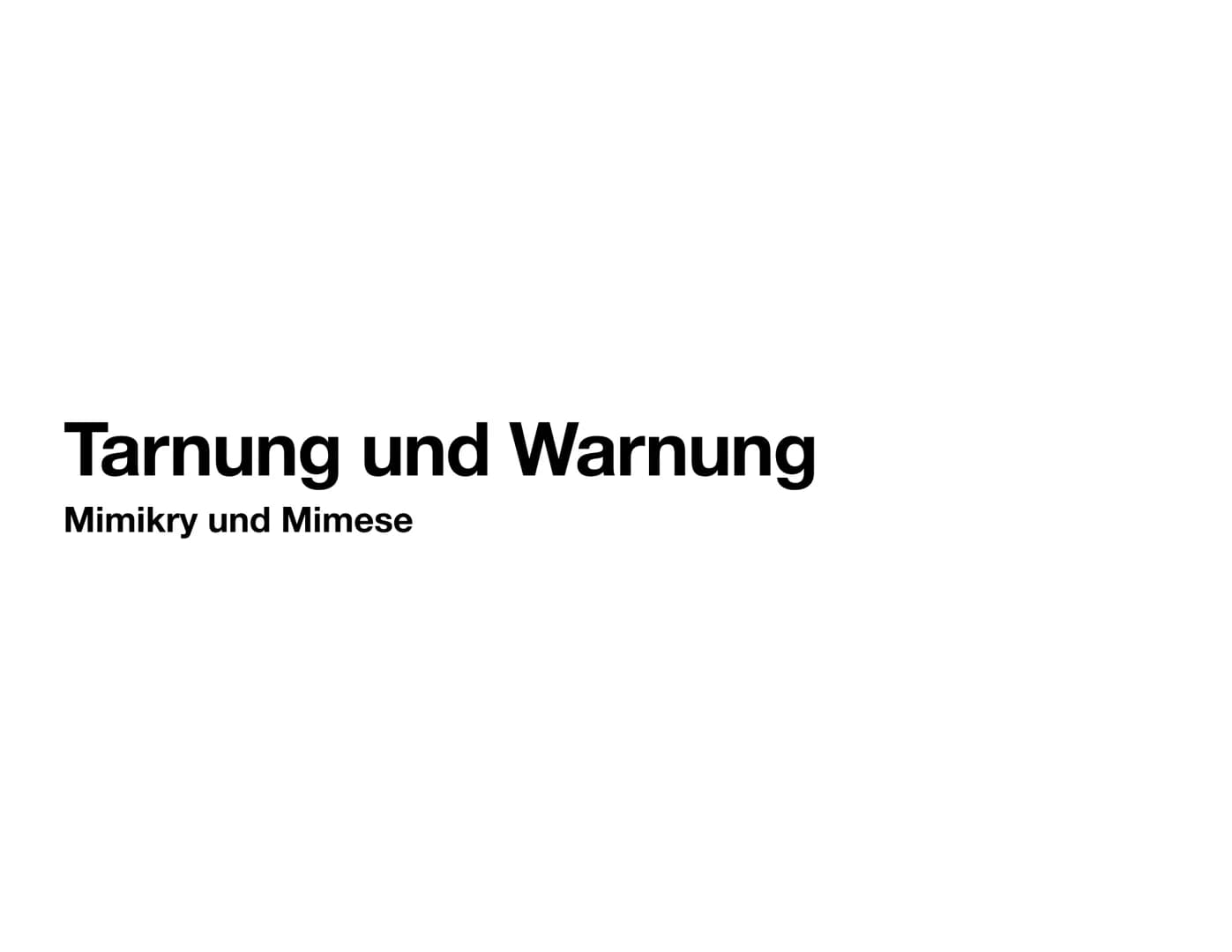 Tarnung und Warnung
Mimikry und Mimese Tarnung
Krypsis
●
●
Vorgang oder Zustand—> irreführende Signale an ein anderes Lebewesen zu
senden
Ir