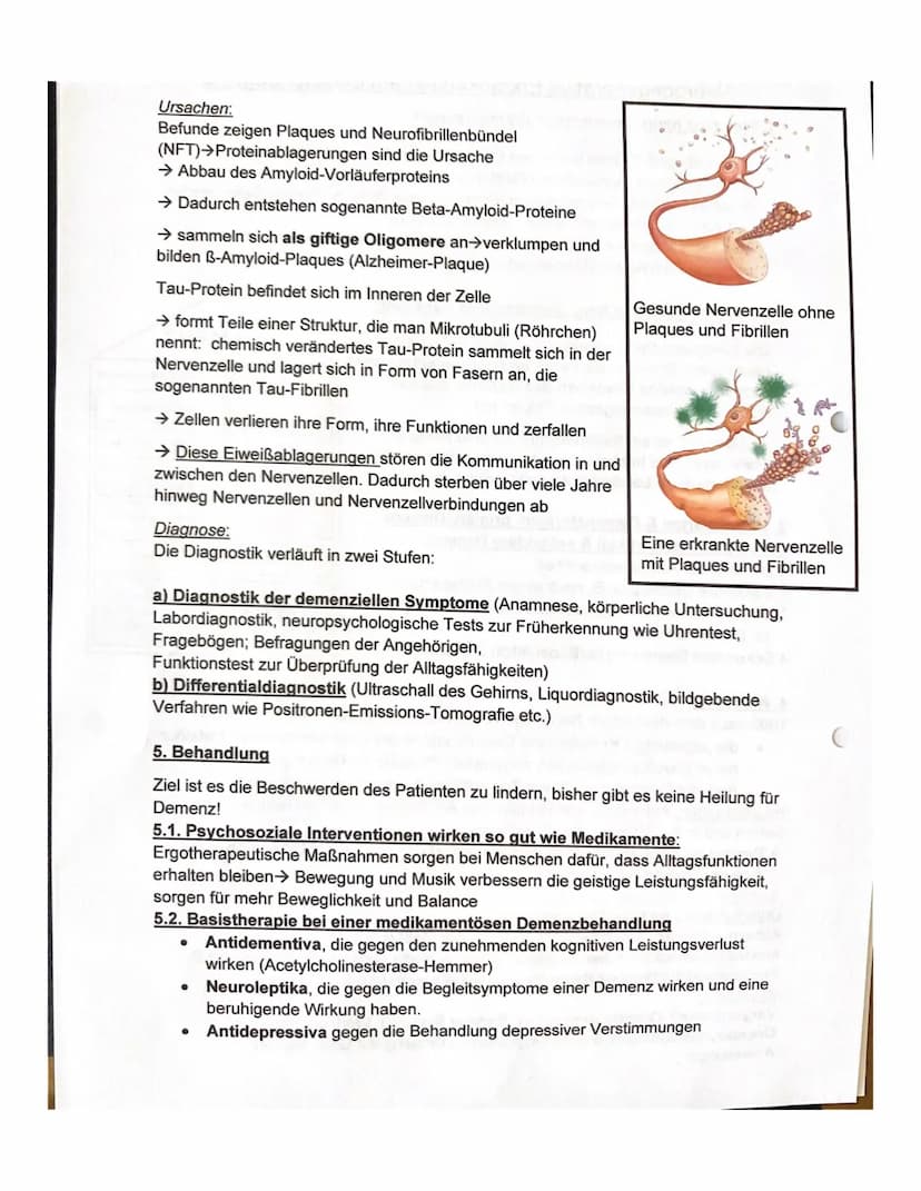 Neurodegenerative Erkrankungen am Beispiel Demenz
1. Was sind neurodegenerative Erkrankungen?
Sammelbegriff für eine Reihe von Erkrankungen,
