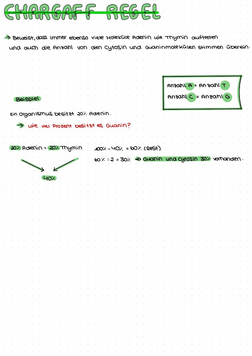 DNA AUFBAU
spiralförmiges Doppelstrang→ Doppelhelix
-DNA: Makromolekul aus drei Grundbausteine.
Desoxyribose (Zucker)
→Phosphat
→ einer der 