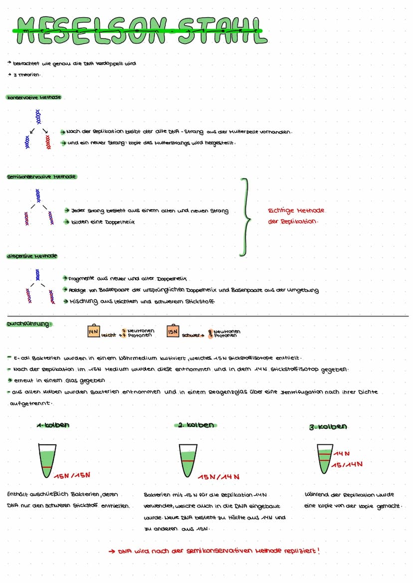 DNA AUFBAU
spiralförmiges Doppelstrang→ Doppelhelix
-DNA: Makromolekul aus drei Grundbausteine.
Desoxyribose (Zucker)
→Phosphat
→ einer der 