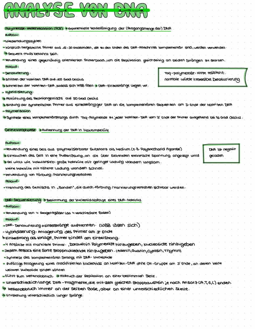 DNA AUFBAU
spiralförmiges Doppelstrang→ Doppelhelix
-DNA: Makromolekul aus drei Grundbausteine.
Desoxyribose (Zucker)
→Phosphat
→ einer der 
