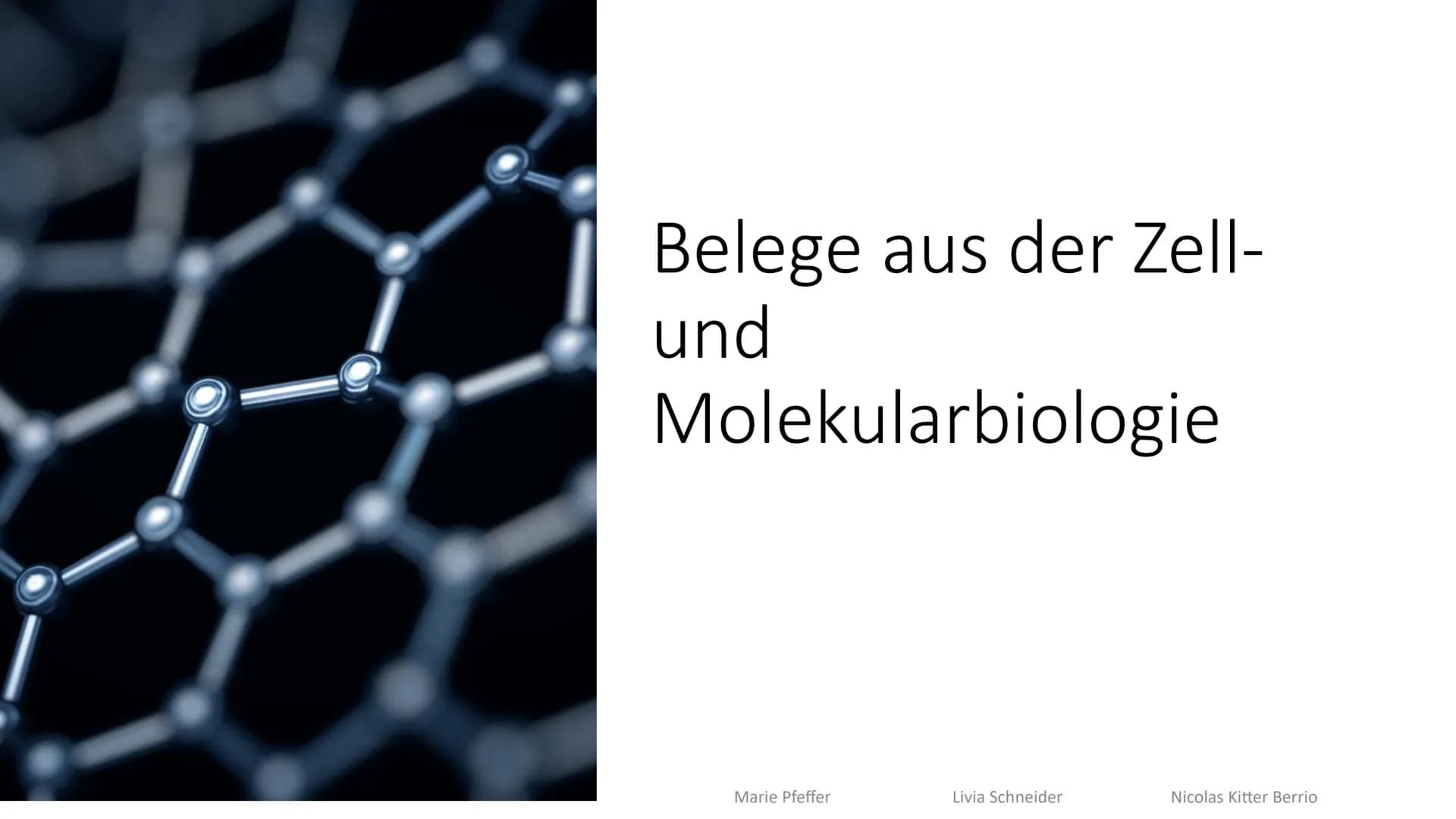 Belege aus der Zell-
und
Molekularbiologie
Marie Pfeffer
Livia Schneider
-
Nicolas Kitter Berrio Gliederung
Endosymbiontentheorie
Allgemeine