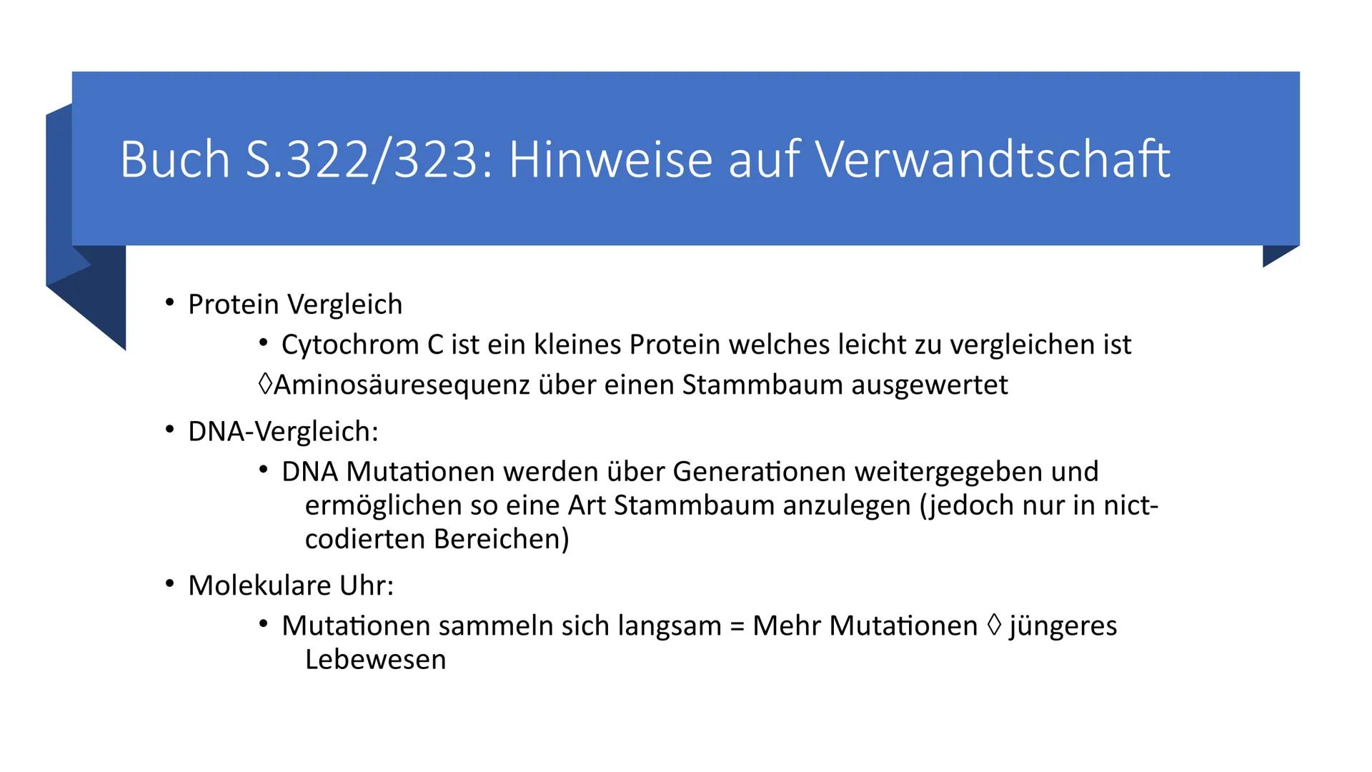 Belege aus der Zell-
und
Molekularbiologie
Marie Pfeffer
Livia Schneider
-
Nicolas Kitter Berrio Gliederung
Endosymbiontentheorie
Allgemeine