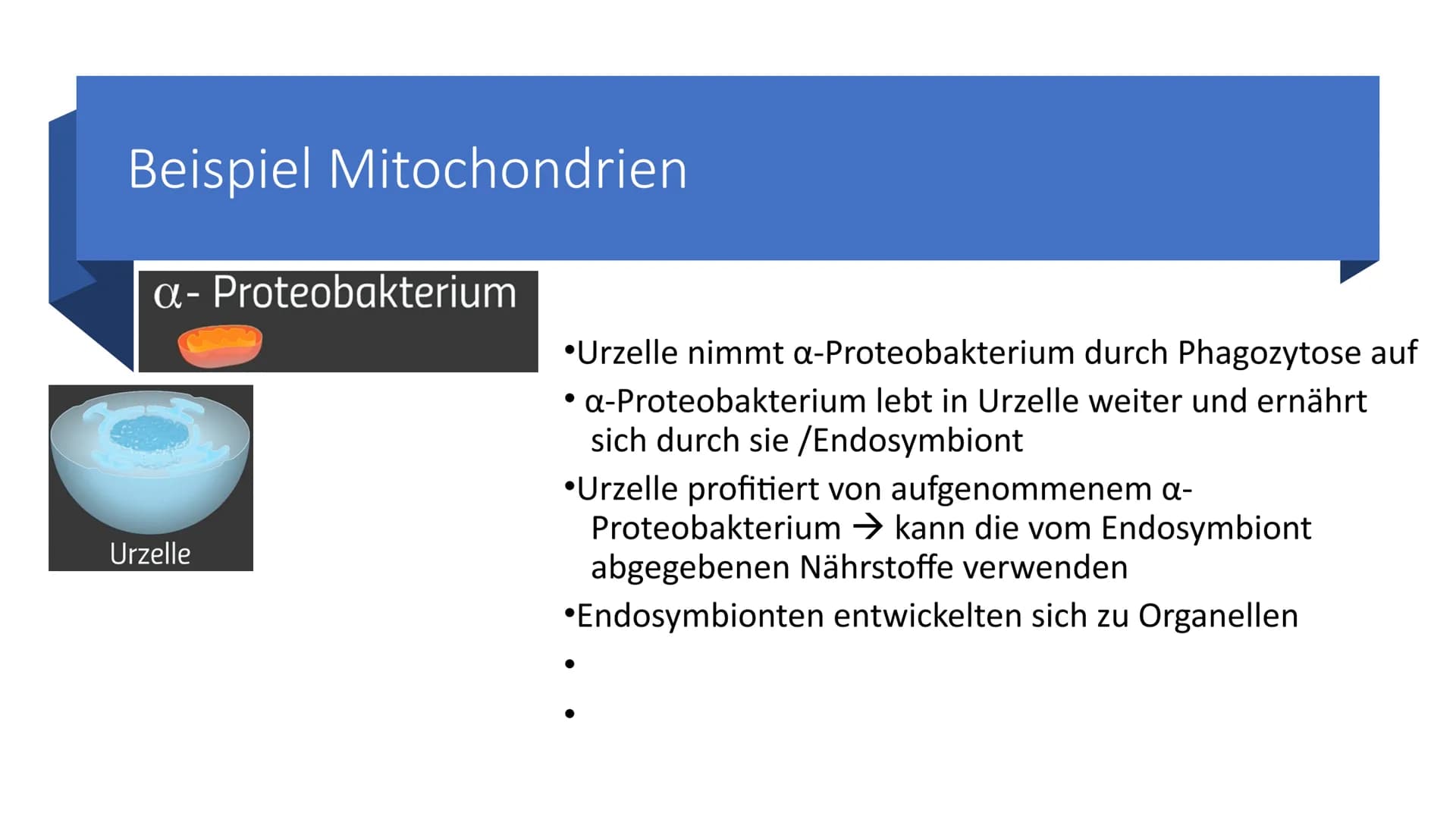 Belege aus der Zell-
und
Molekularbiologie
Marie Pfeffer
Livia Schneider
-
Nicolas Kitter Berrio Gliederung
Endosymbiontentheorie
Allgemeine