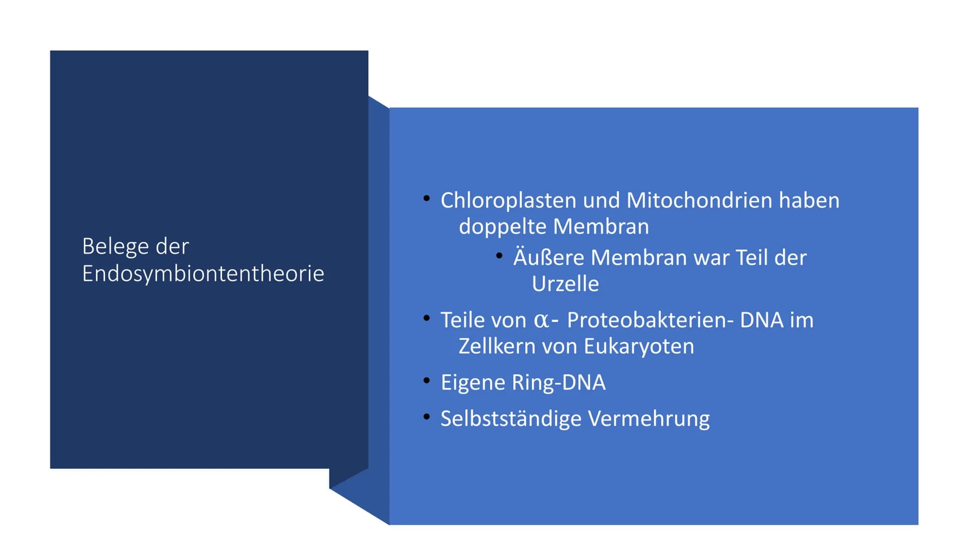 Belege aus der Zell-
und
Molekularbiologie
Marie Pfeffer
Livia Schneider
-
Nicolas Kitter Berrio Gliederung
Endosymbiontentheorie
Allgemeine