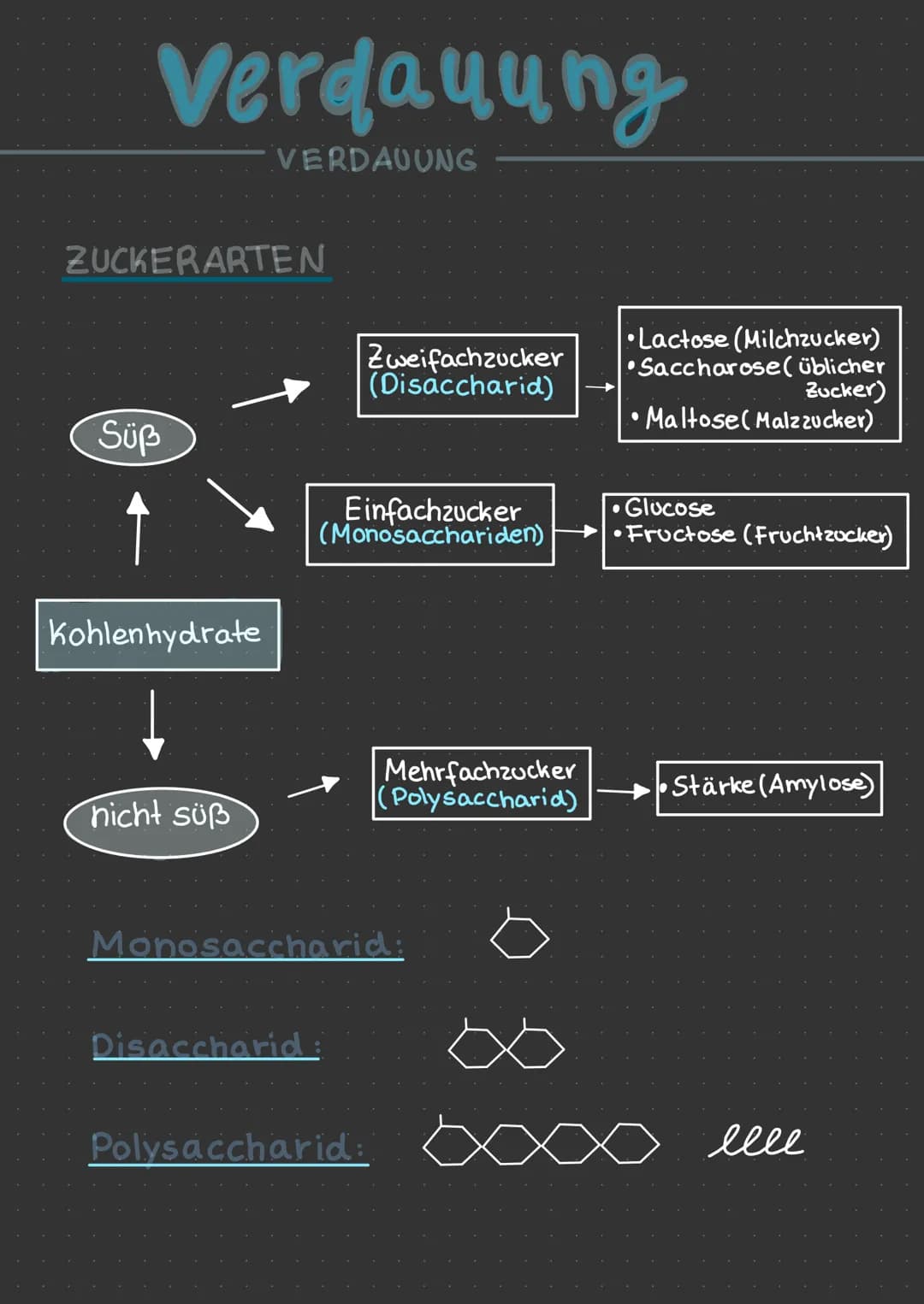 Verdauung
VERDAUUNG
ZUCKERARTEN
Süß
Kohlenhydrate
nicht süß
Disaccharid
Zweifachzucker
(Disaccharid)
Einfachzucker
(Monosacchariden)
Monosac