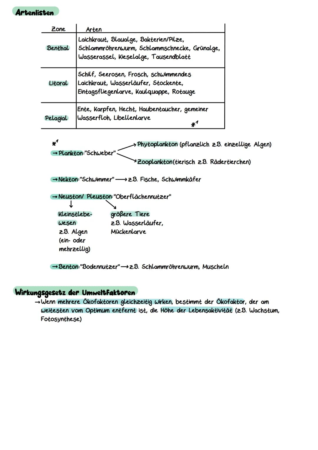 Gliederung eines Sees
Litoral
(Uferzone)
→ Pelagial
→Benthal
Ökocystem See
Benthal
(Bodenzone)
→Litoral
Pelagial
(Freiwasserzone)
Nährschich