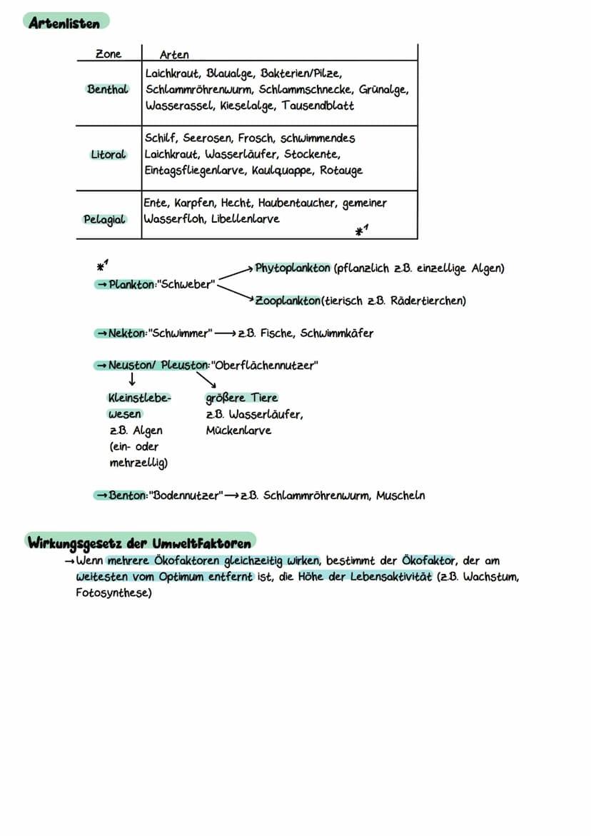 Gliederung eines Sees
Litoral
(Uferzone)
→ Pelagial
→Benthal
Ökocystem See
Benthal
(Bodenzone)
→Litoral
Pelagial
(Freiwasserzone)
Nährschich