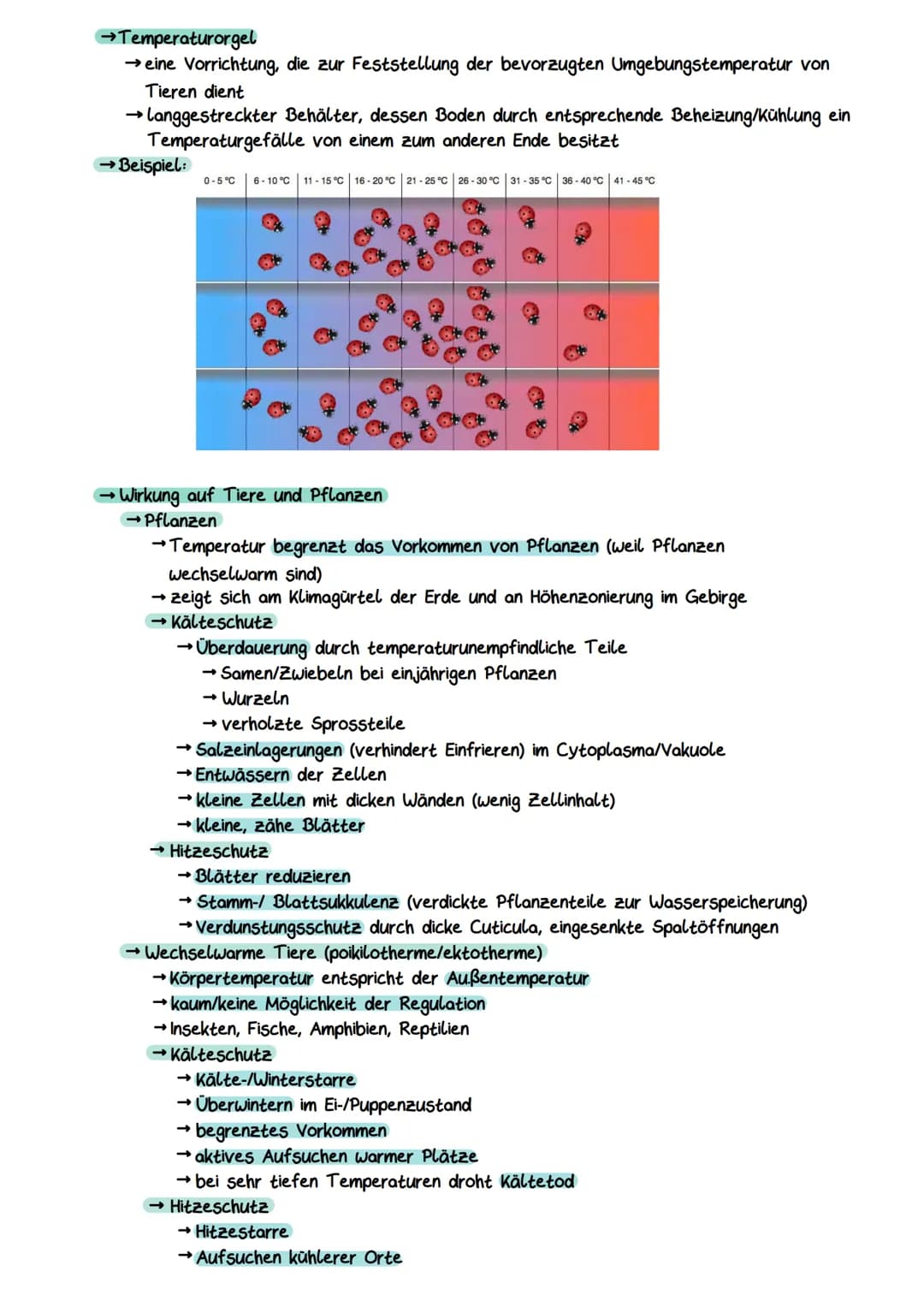 Gliederung eines Sees
Litoral
(Uferzone)
→ Pelagial
→Benthal
Ökocystem See
Benthal
(Bodenzone)
→Litoral
Pelagial
(Freiwasserzone)
Nährschich
