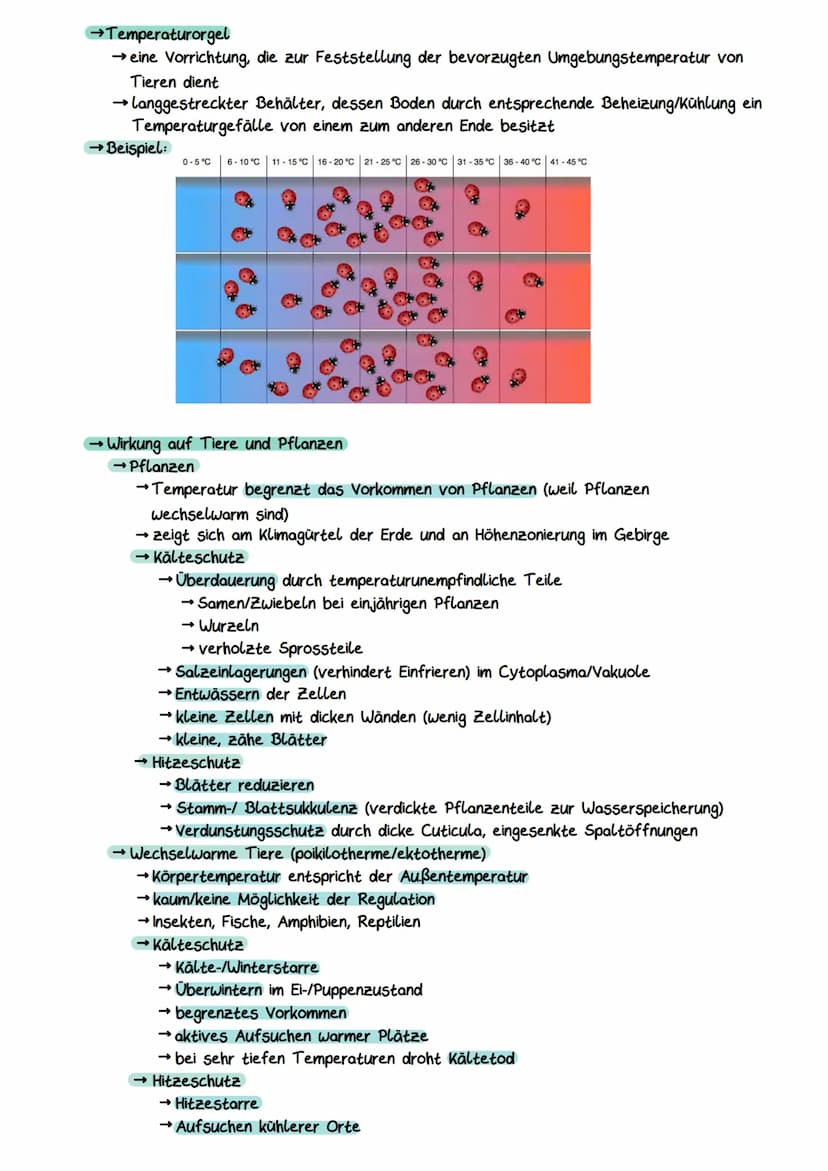 Gliederung eines Sees
Litoral
(Uferzone)
→ Pelagial
→Benthal
Ökocystem See
Benthal
(Bodenzone)
→Litoral
Pelagial
(Freiwasserzone)
Nährschich