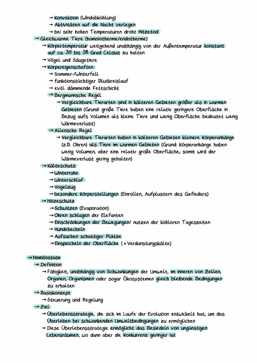 Gliederung eines Sees
Litoral
(Uferzone)
→ Pelagial
→Benthal
Ökocystem See
Benthal
(Bodenzone)
→Litoral
Pelagial
(Freiwasserzone)
Nährschich