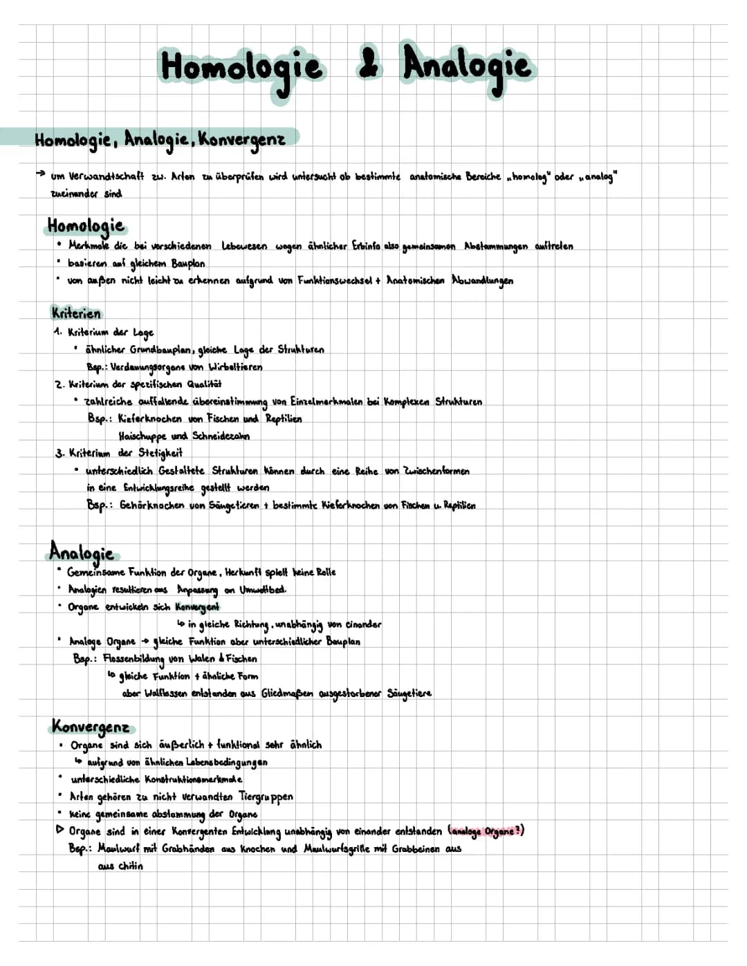 Homologie , Analogie und Molekulare Verwandschaft Evolution   