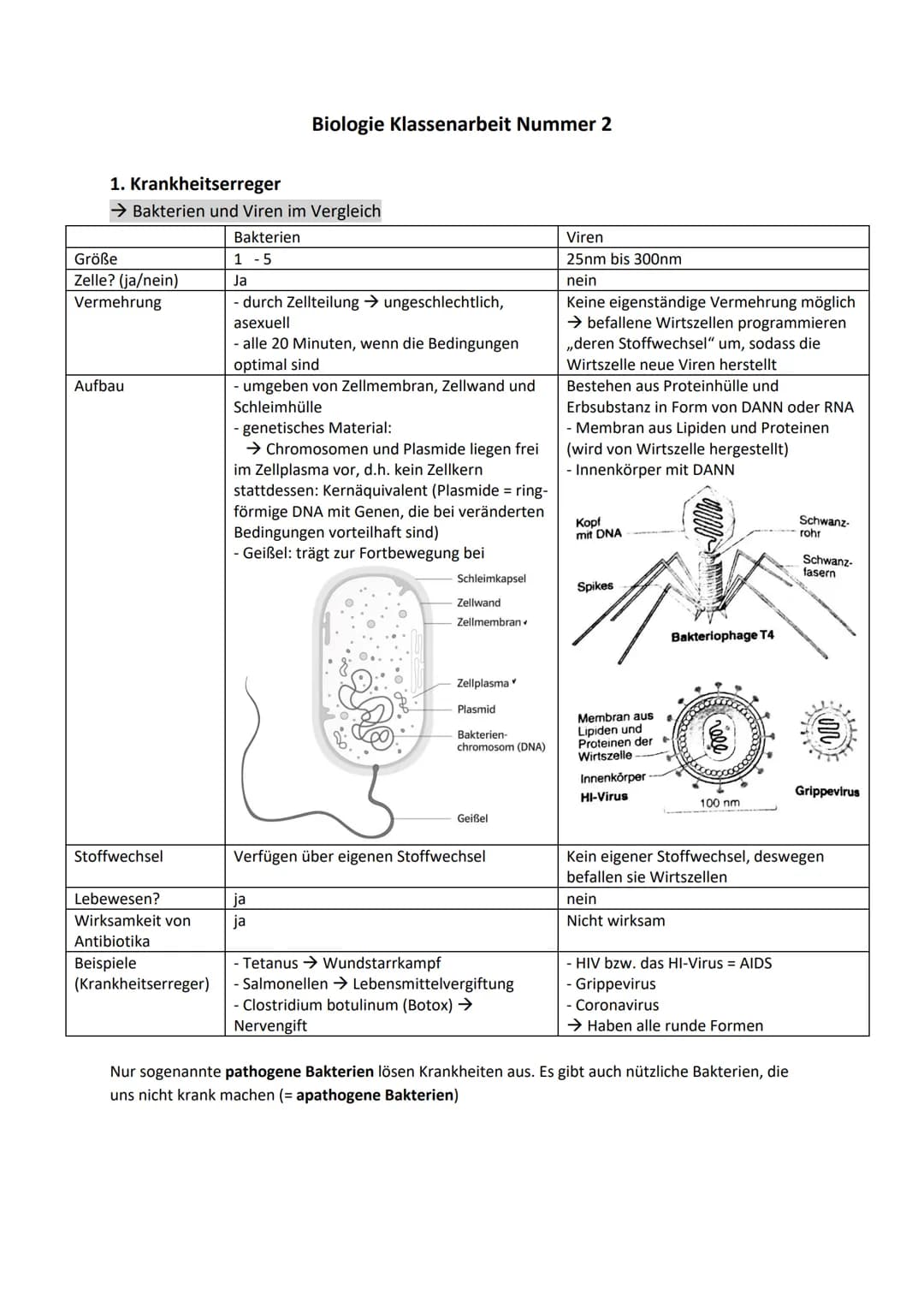 1. Krankheitserreger
→ Bakterien und Viren im Vergleich
Größe
Zelle? (ja/nein)
Vermehrung
Aufbau
Stoffwechsel
Lebewesen?
Wirksamkeit von
Ant