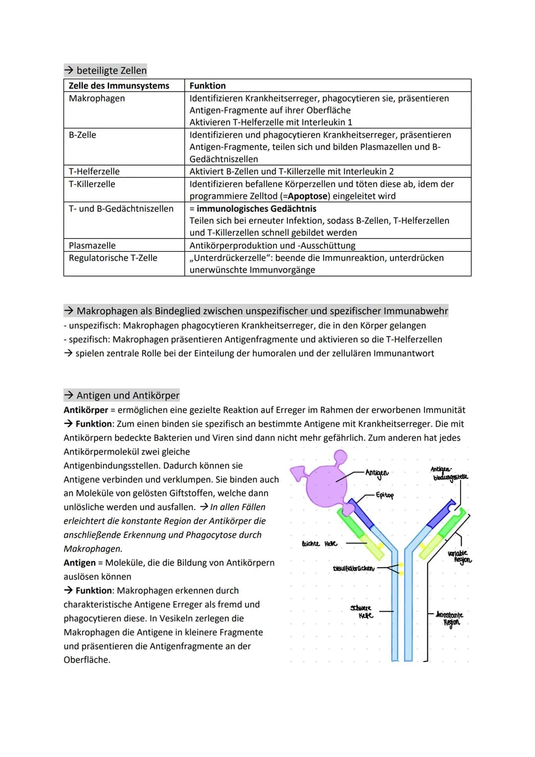 1. Krankheitserreger
→ Bakterien und Viren im Vergleich
Größe
Zelle? (ja/nein)
Vermehrung
Aufbau
Stoffwechsel
Lebewesen?
Wirksamkeit von
Ant