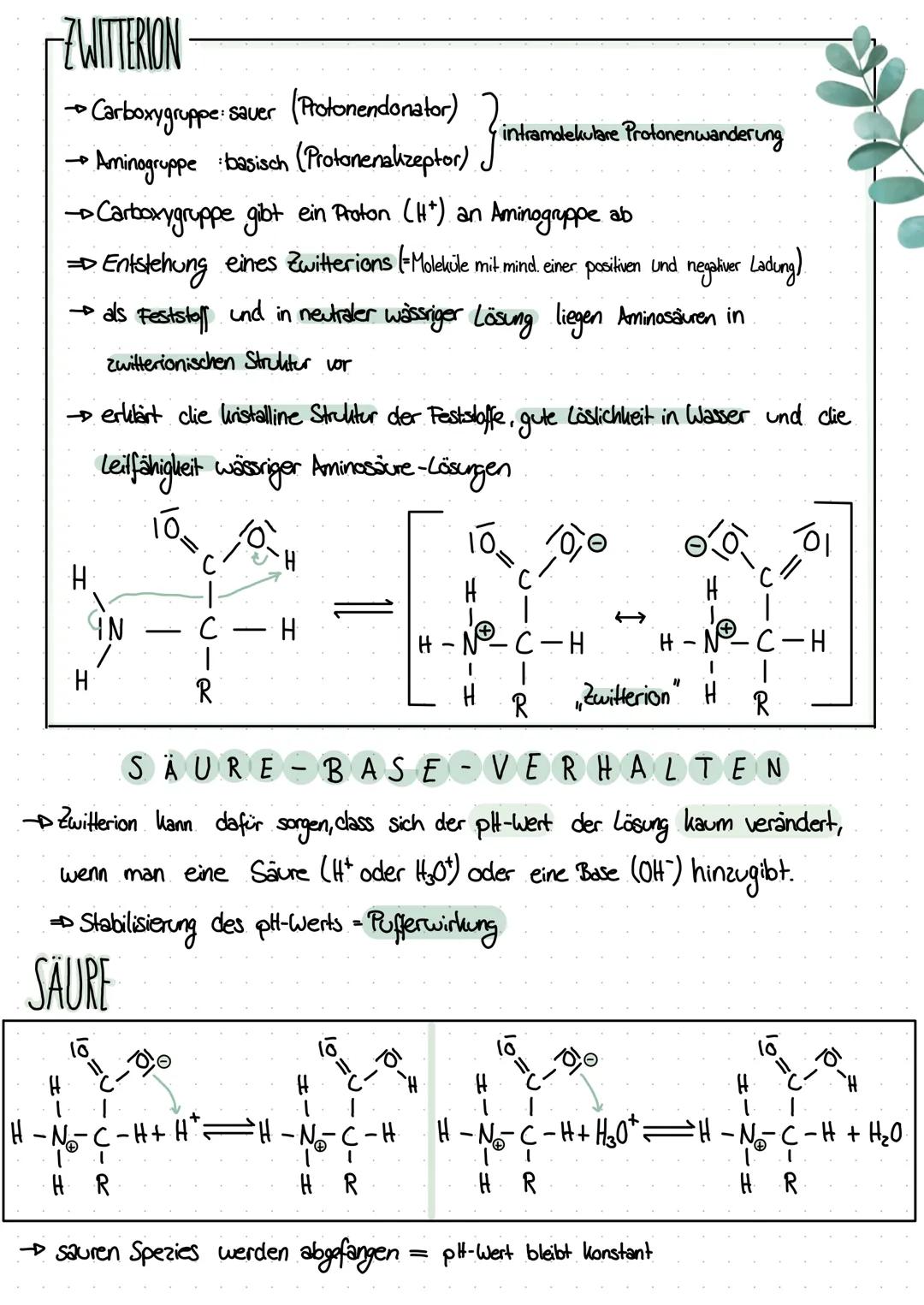 -ZWITTERION
→ Carboxygruppe: sauer (Protonendonator)
• Aminogruppe basisch (Protonenakzeptor)
} intramolekulare Protonenwanderung
→→Carboxyg