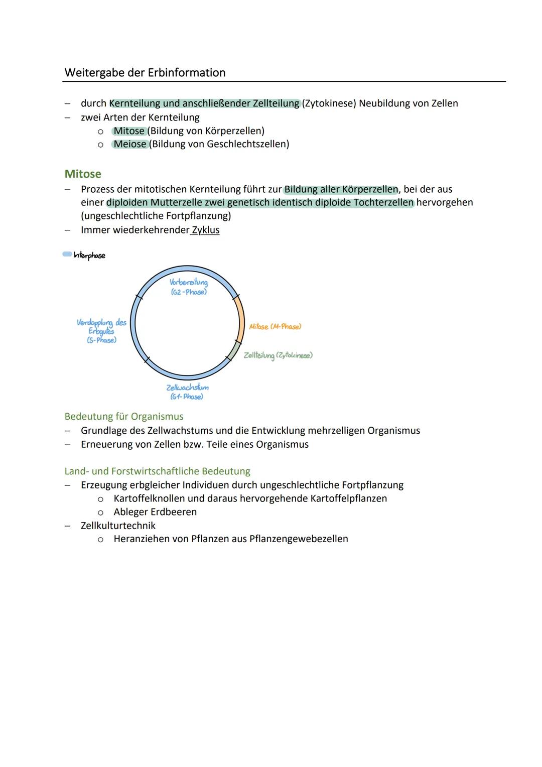 BIO KA-GENETIK
Zelluläre Grundlagen der Vererbung
Zellkern (Nucleus)
Speicher der Erbinformation und Steuerzentrale der Zelle
zwei wichtige 