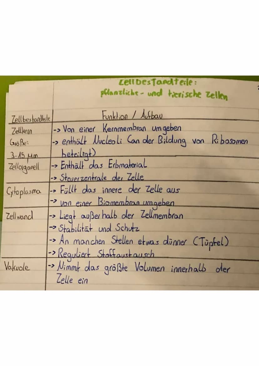 Zellbestandteile
Zellkern
Größe:
3-15 μm
Zellaganell
Cytoplasma
Zellwand
Vakuole
Cellbestandteile:
pflanzliche und tierische Zellen
Funktion