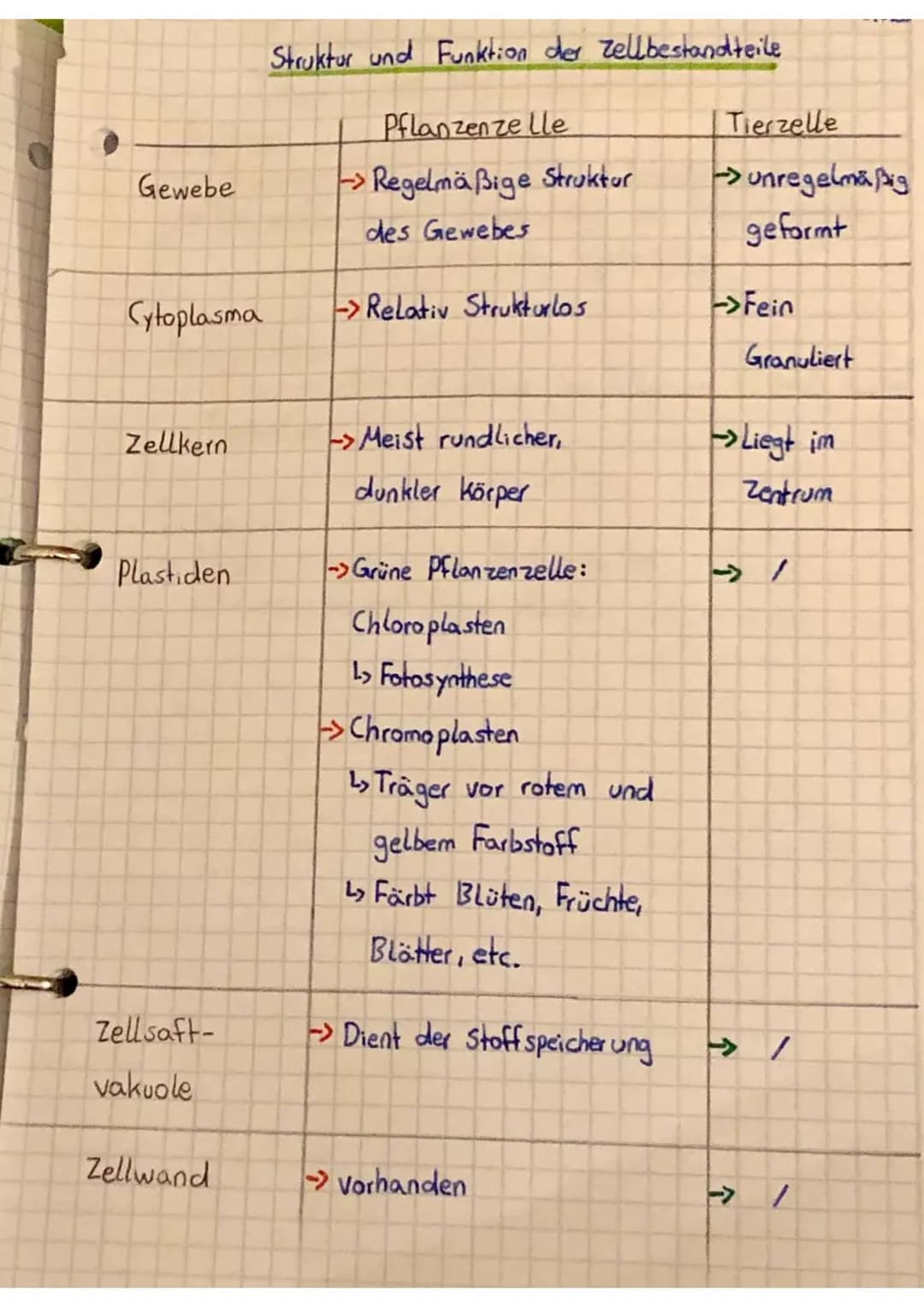 Zellbestandteile
Zellkern
Größe:
3-15 μm
Zellaganell
Cytoplasma
Zellwand
Vakuole
Cellbestandteile:
pflanzliche und tierische Zellen
Funktion