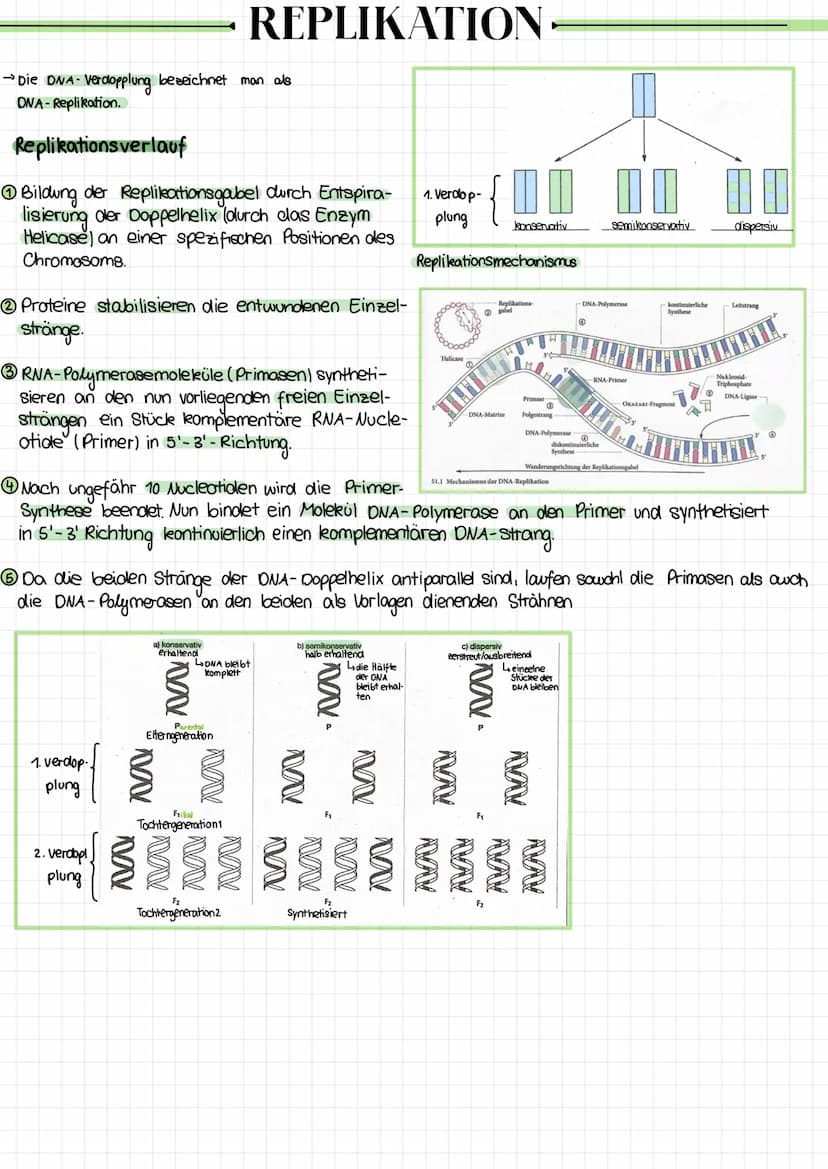 CHROMOSOMEN
chromatid
ID
Bei einer
Chromosomenanomalie
liegt eine Fehlbildung der Chromosomen
vor.
Ein Chromosom setet sich aus zwei Chromat