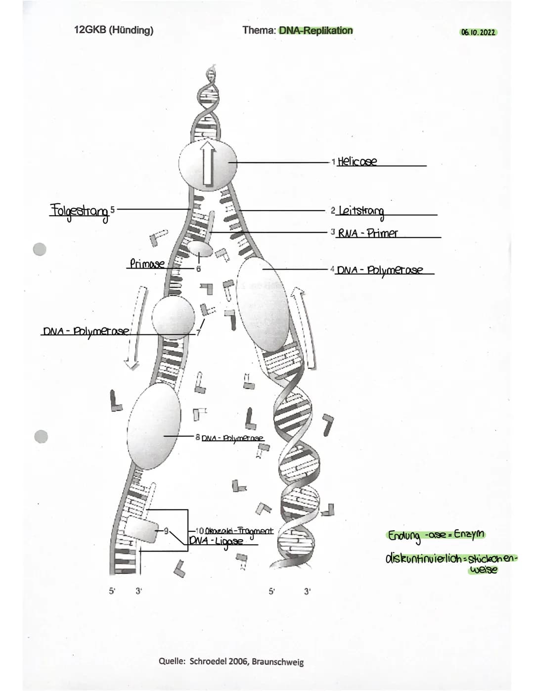 CHROMOSOMEN
chromatid
ID
Bei einer
Chromosomenanomalie
liegt eine Fehlbildung der Chromosomen
vor.
Ein Chromosom setet sich aus zwei Chromat