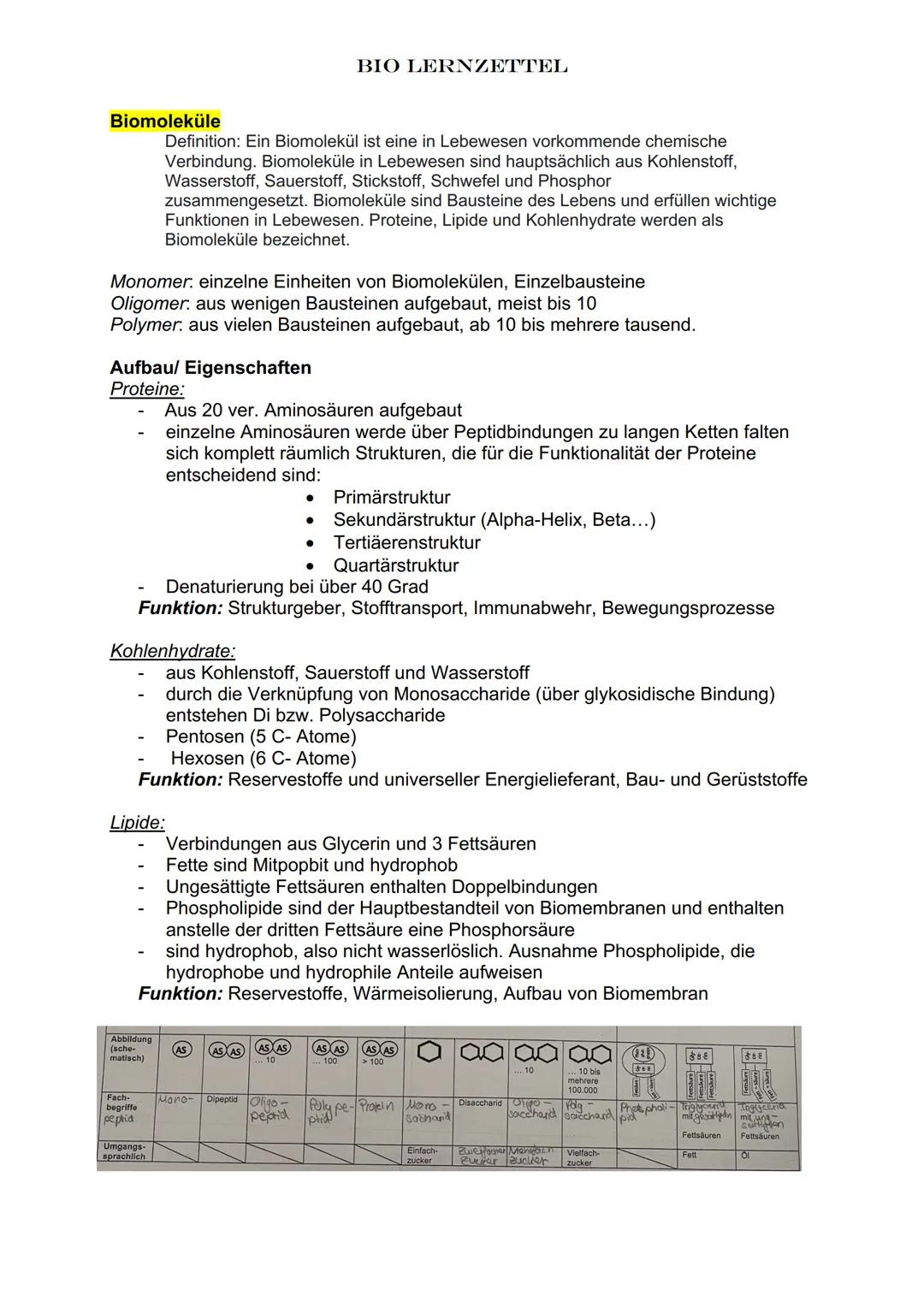 Biomoleküle
Monomer einzelne Einheiten von Biomolekülen, Einzelbausteine
Oligomer aus wenigen Bausteinen aufgebaut, meist bis 10
Polymer. au