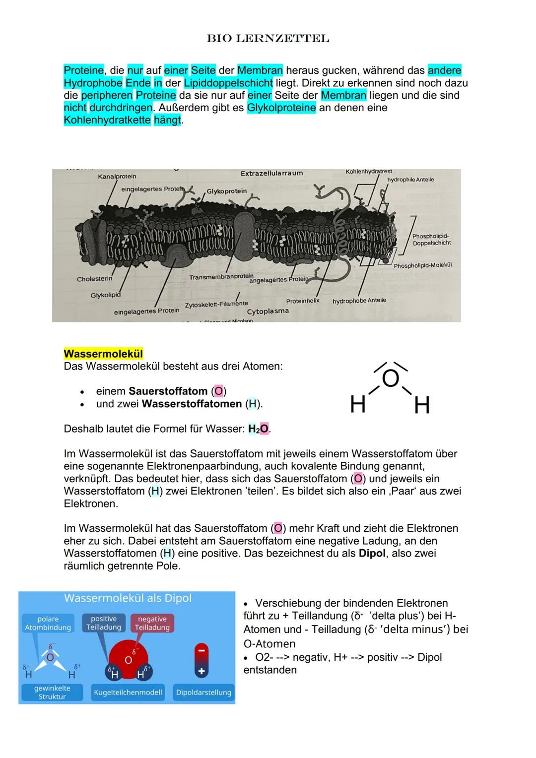 Biomoleküle
Monomer einzelne Einheiten von Biomolekülen, Einzelbausteine
Oligomer aus wenigen Bausteinen aufgebaut, meist bis 10
Polymer. au