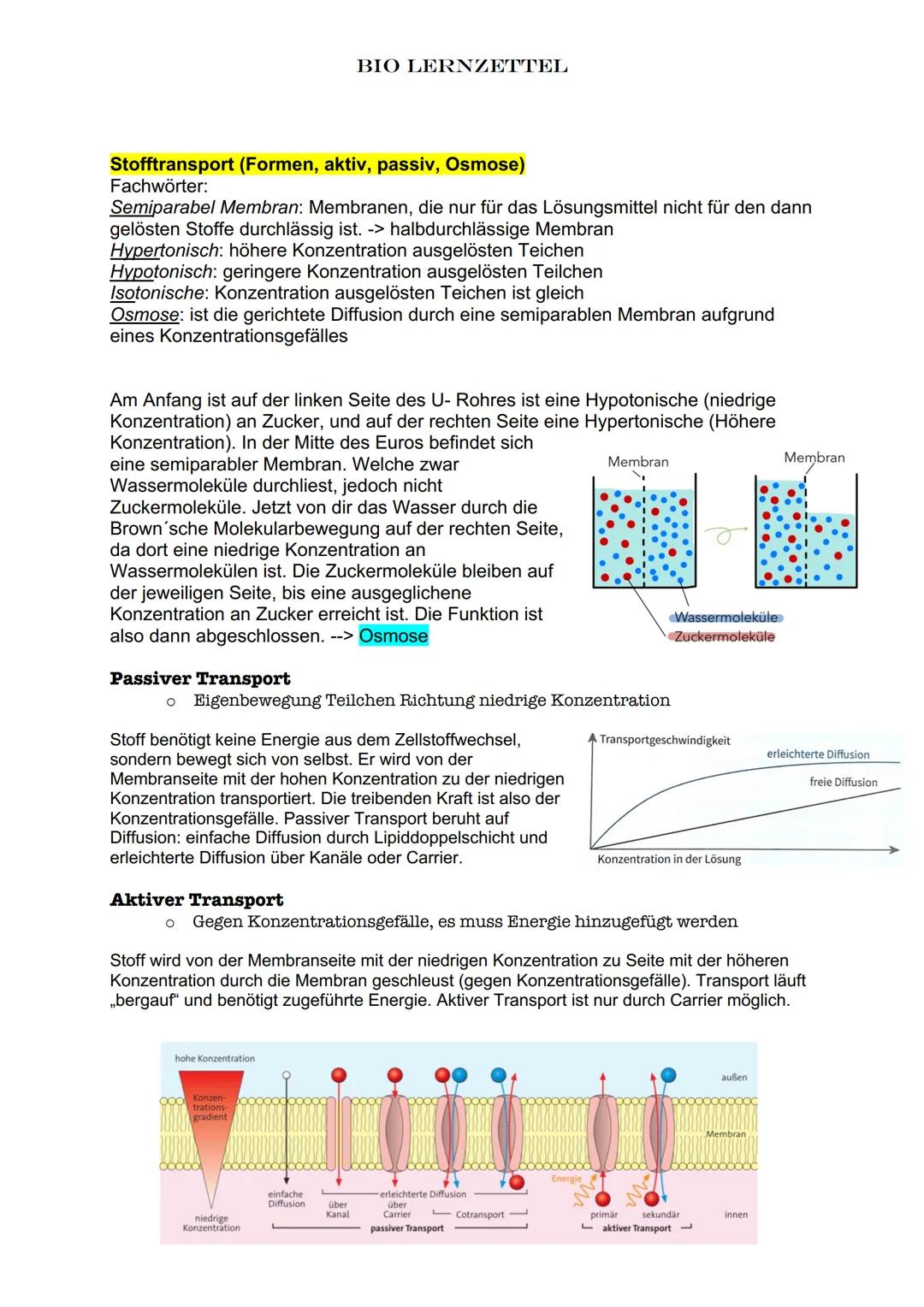 Biomoleküle
Monomer einzelne Einheiten von Biomolekülen, Einzelbausteine
Oligomer aus wenigen Bausteinen aufgebaut, meist bis 10
Polymer. au
