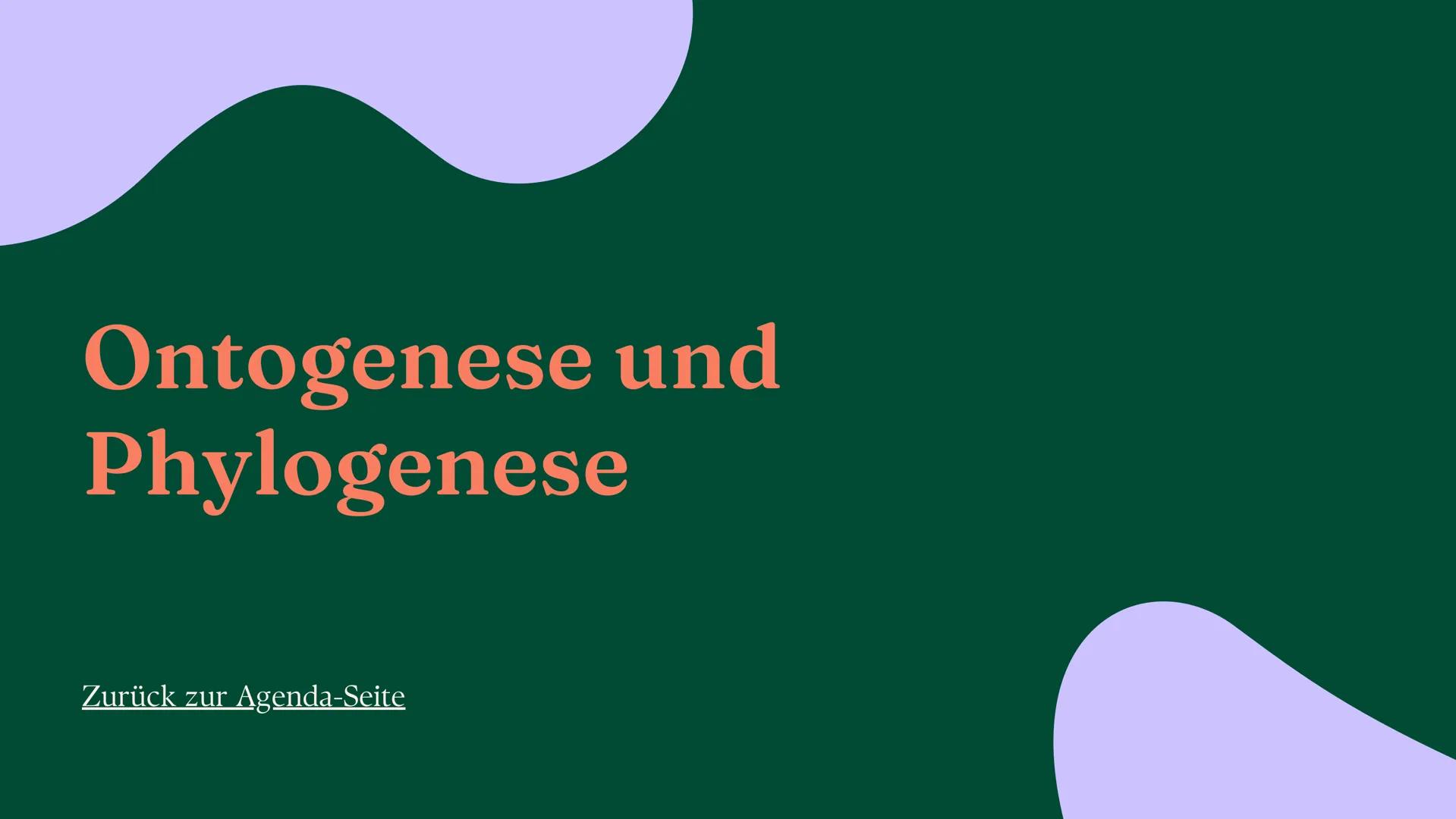 Sprache
Sprachvarietäten und Spracherwerbsmodelle
Linda Leyendecker Inhalt
Sprachvarietäten und ihre gesellschaftliche
Bedeutung
Sprachwande