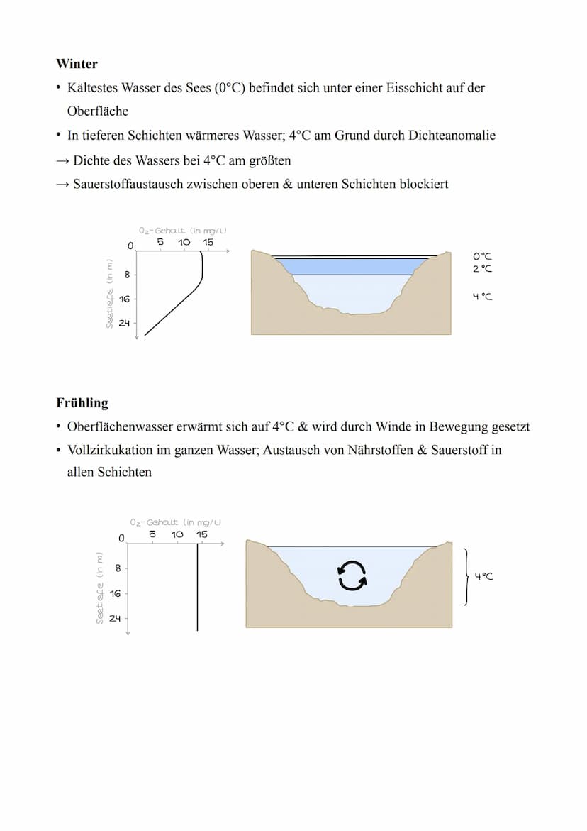 Biologie LK - Abitur 2022
Lernzettel
4. Ökologie
4.1. Abiotische & Biotische Faktoren
Abiotische Faktoren:
Biotische Faktoren:
●
Nicht beleb