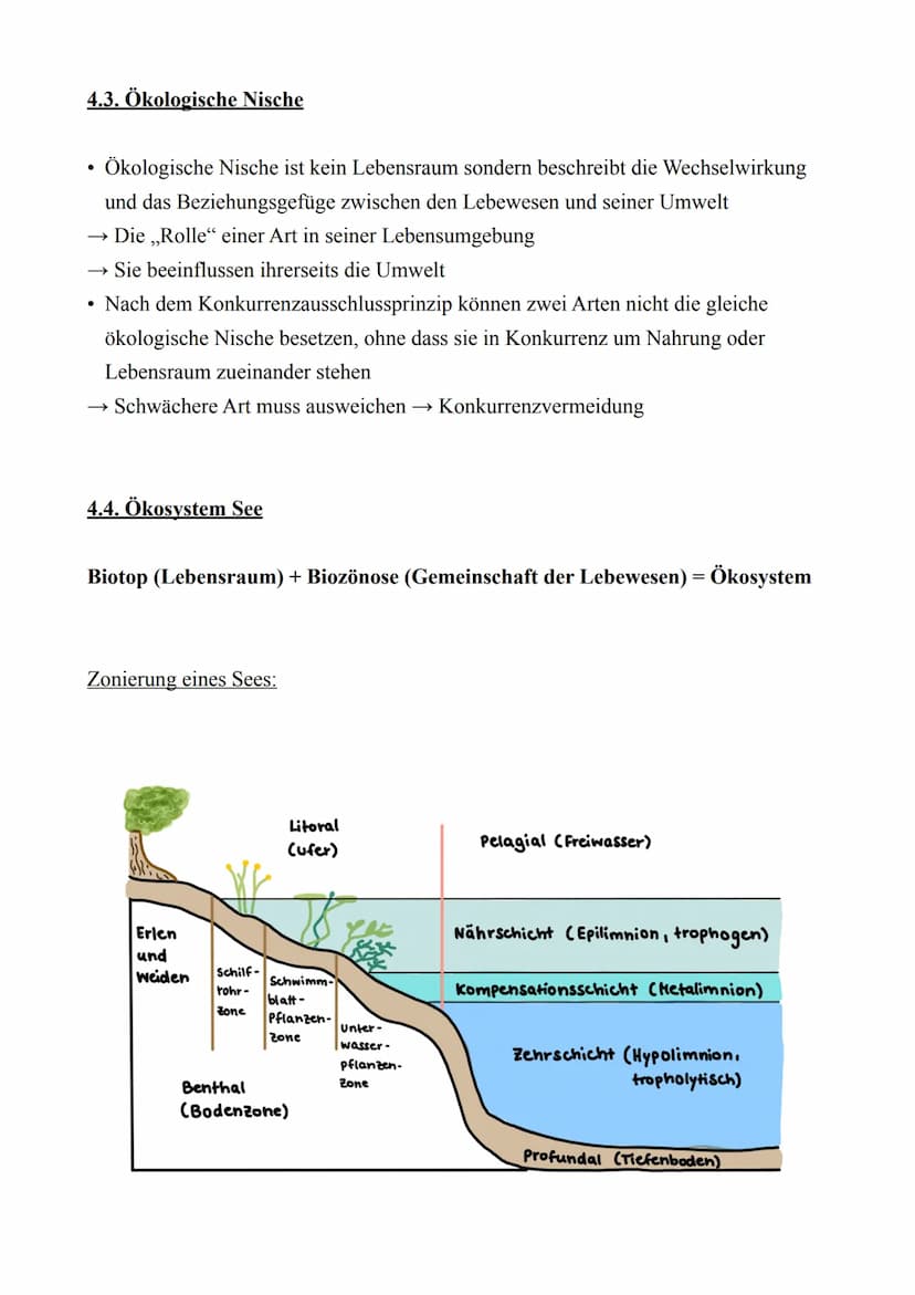 Biologie LK - Abitur 2022
Lernzettel
4. Ökologie
4.1. Abiotische & Biotische Faktoren
Abiotische Faktoren:
Biotische Faktoren:
●
Nicht beleb