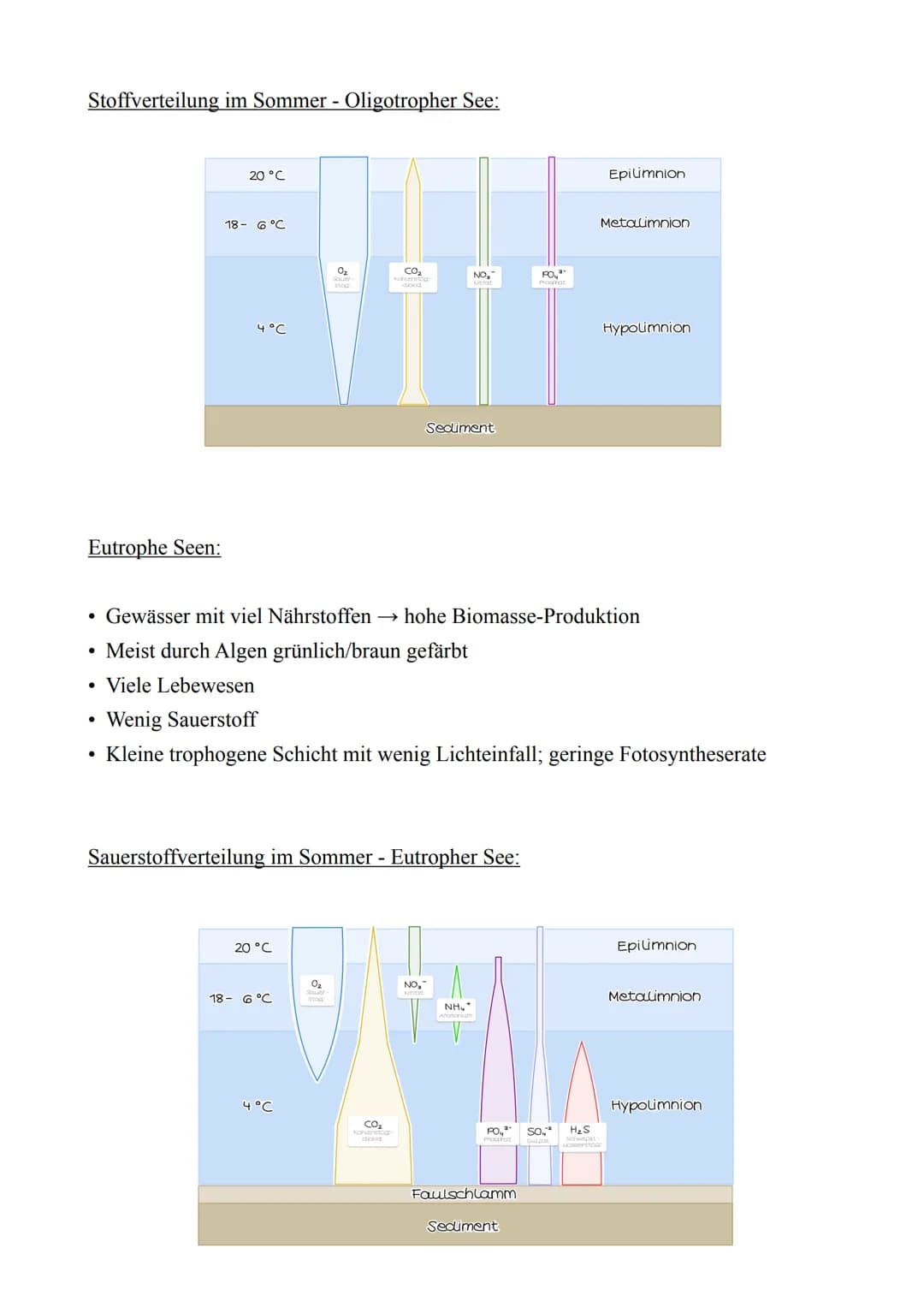Biologie LK - Abitur 2022
Lernzettel
4. Ökologie
4.1. Abiotische & Biotische Faktoren
Abiotische Faktoren:
Biotische Faktoren:
●
Nicht beleb