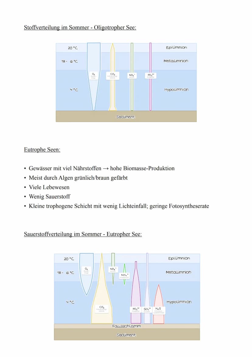 Biologie LK - Abitur 2022
Lernzettel
4. Ökologie
4.1. Abiotische & Biotische Faktoren
Abiotische Faktoren:
Biotische Faktoren:
●
Nicht beleb