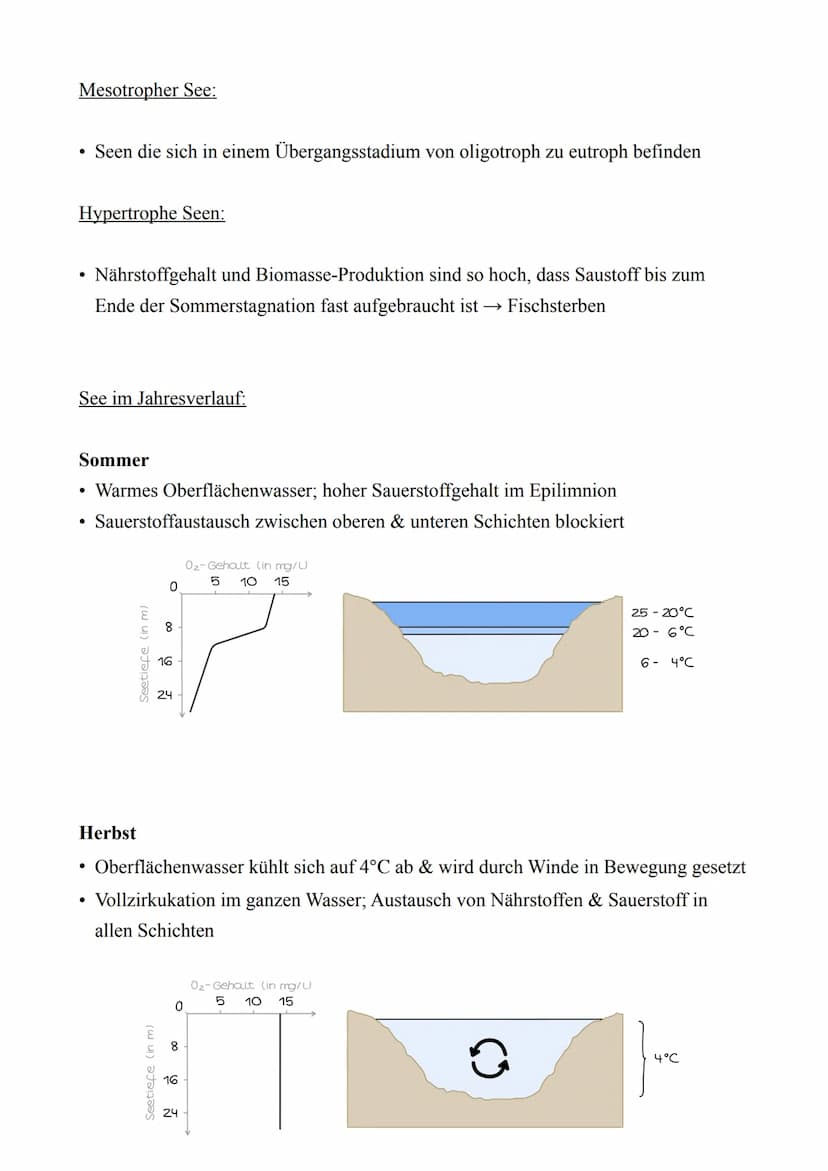 Biologie LK - Abitur 2022
Lernzettel
4. Ökologie
4.1. Abiotische & Biotische Faktoren
Abiotische Faktoren:
Biotische Faktoren:
●
Nicht beleb