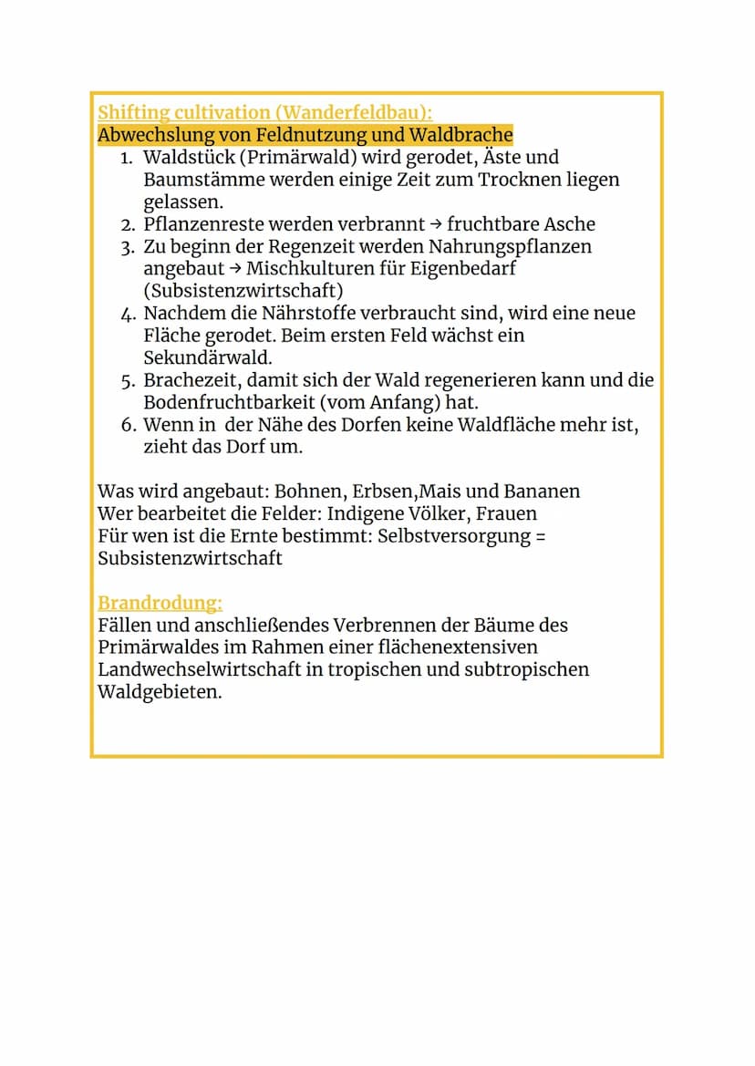 (Palmöl)Plantagen Wirtschaft:
Plantagen sind landwirtschaftliche Großbetriebe in den
Tropen und Subtropen
Cash crops
-
Landwirtschaft:
Monok